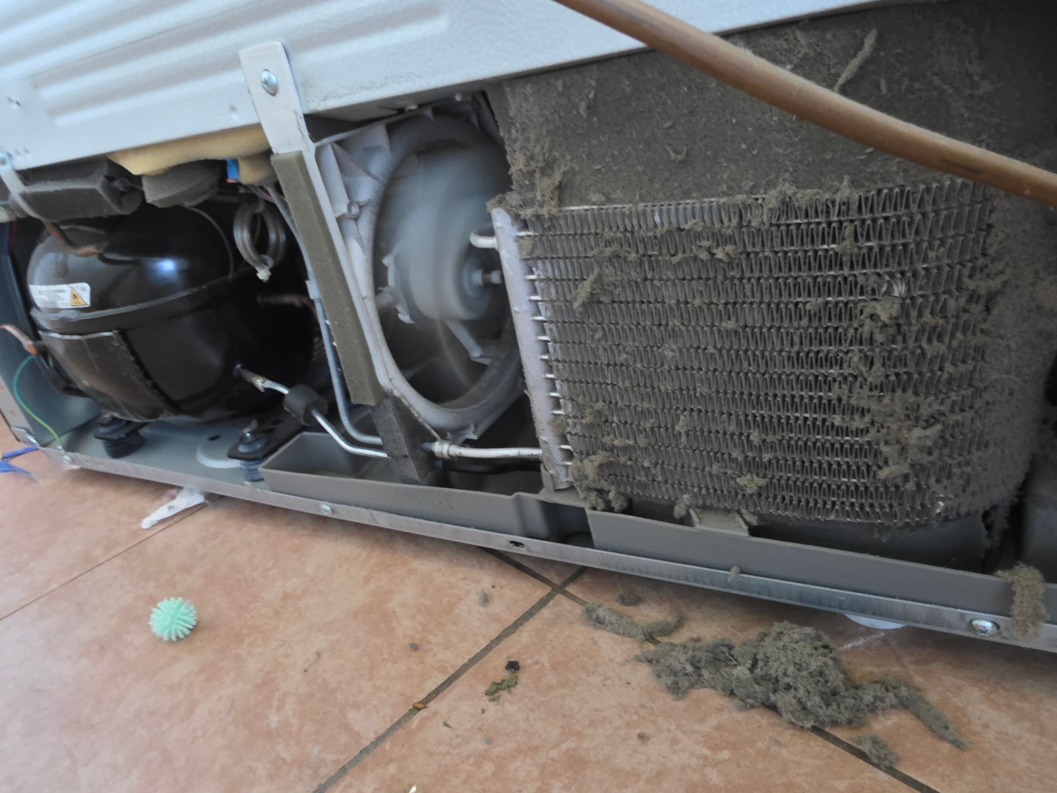 An LG Refrigerator That Stopped Cooling in Both Compartments in Alhambra (photo 1)