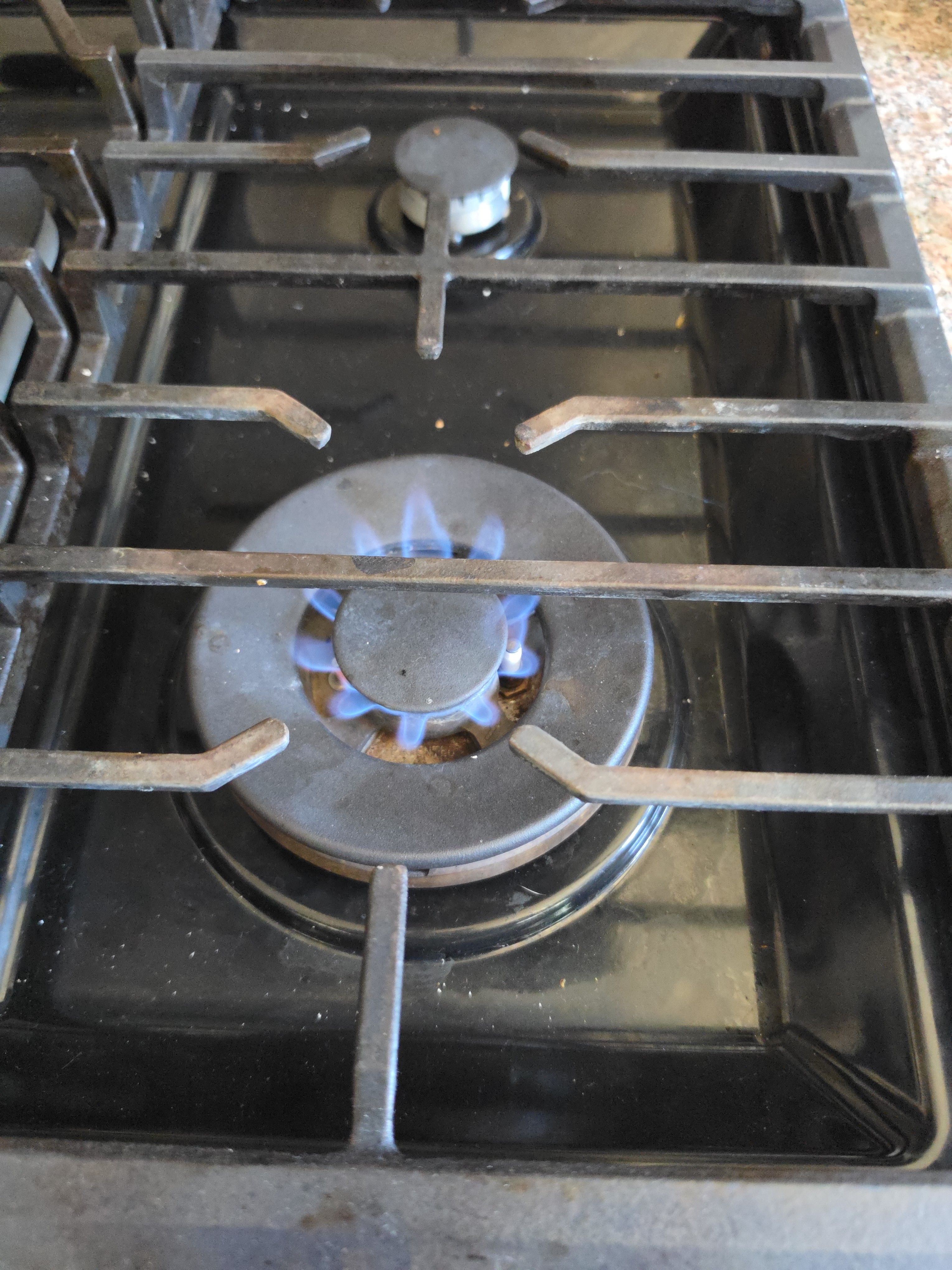 A Gas Range With a Failed Burner Valve in Los Angeles (photo 1)