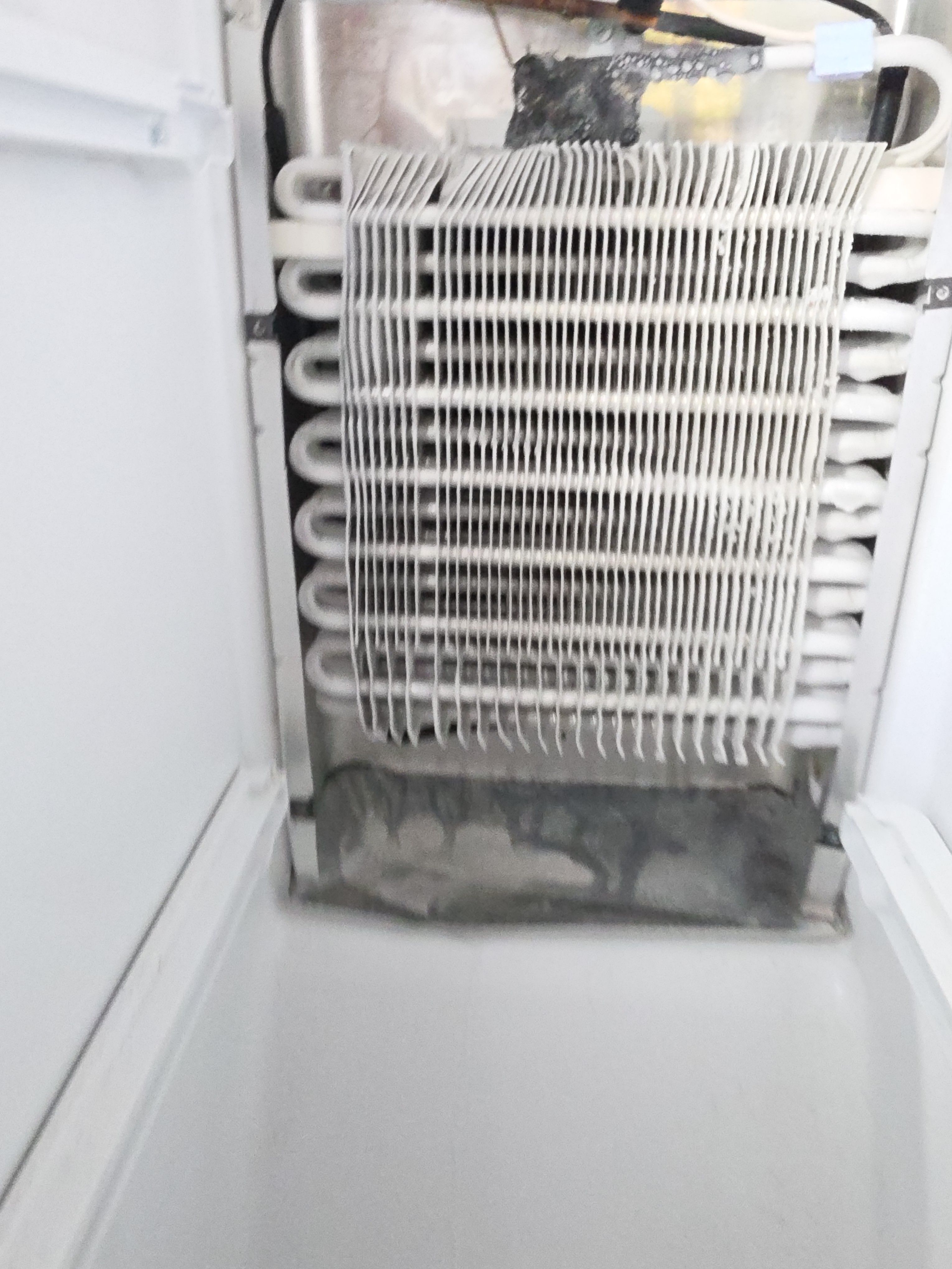 A Frigidaire Refrigerator Leaking Water From the Freezer in Highland Park (photo 2)