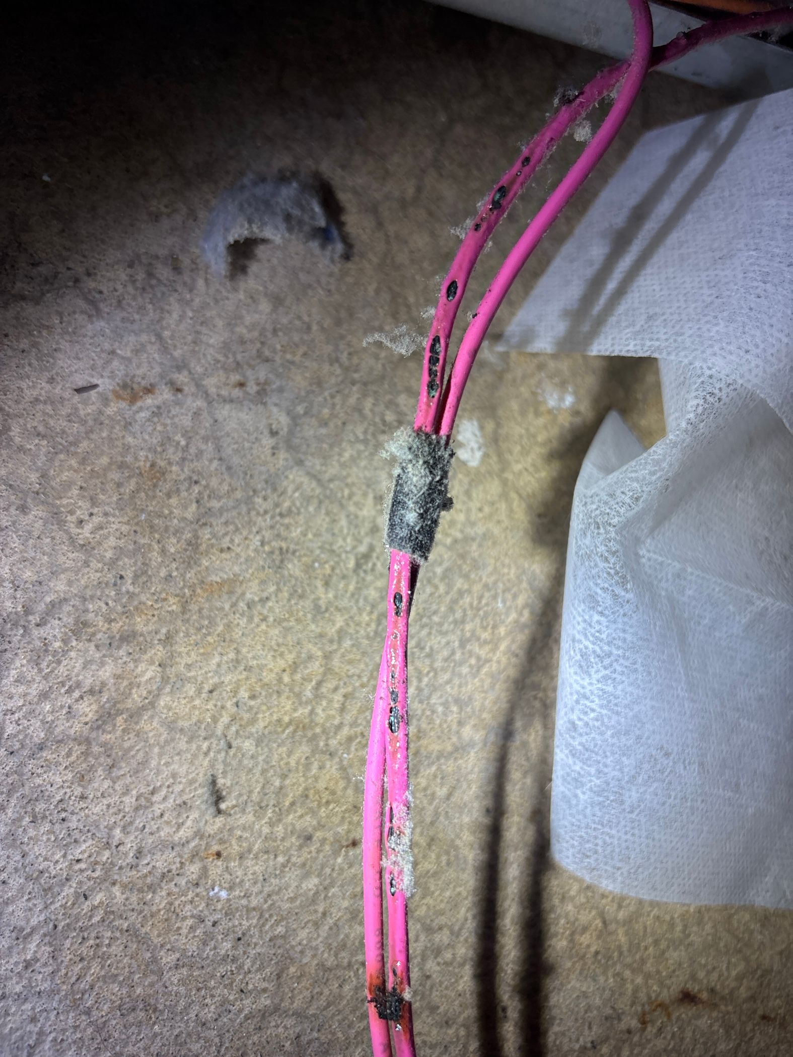 An Amana Dryer That Kept Tripping the Breaker in Hanover Park (photo 2)
