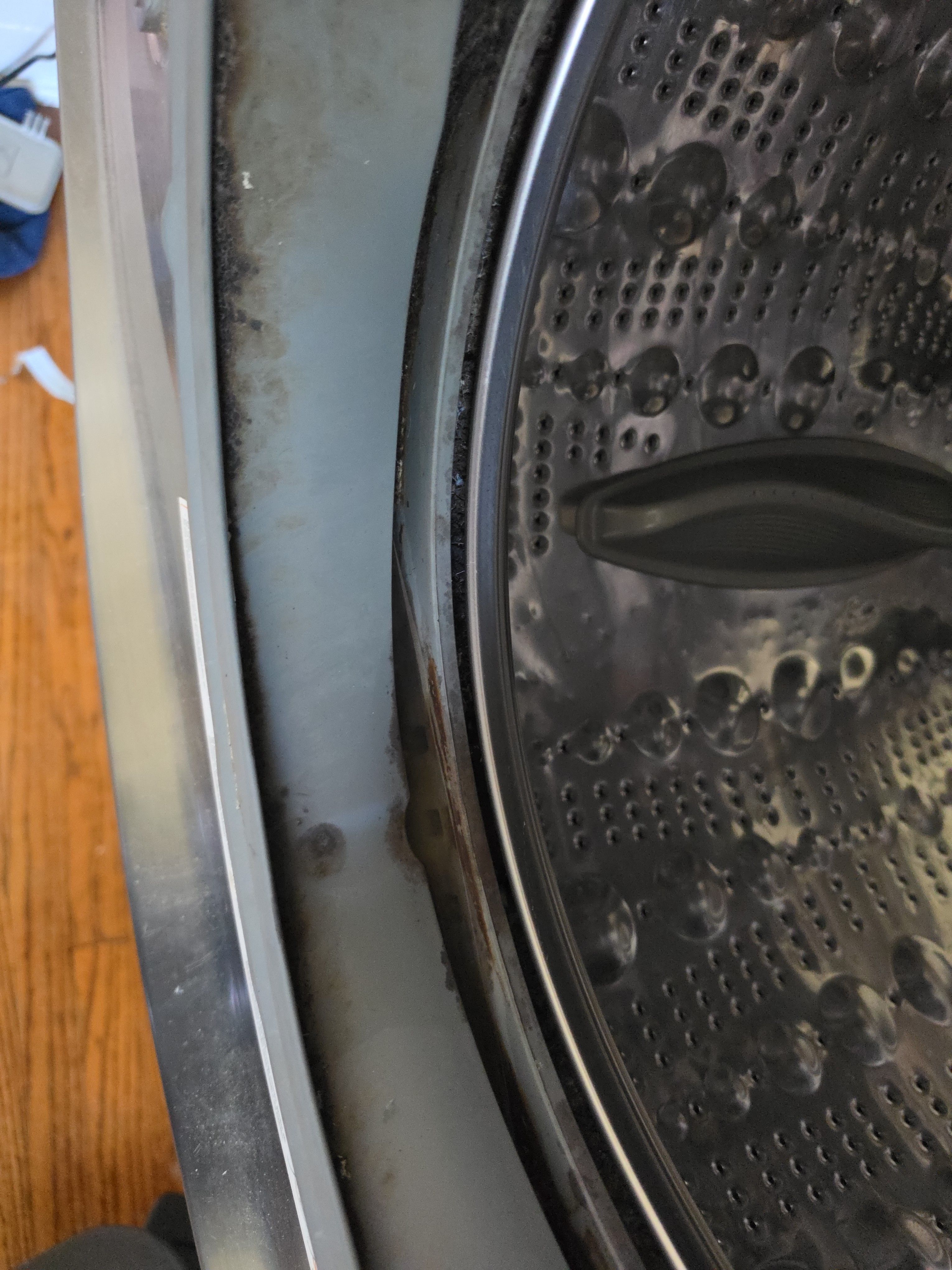 An LG Washer That Stopped Draining in Altadena (photo 3)