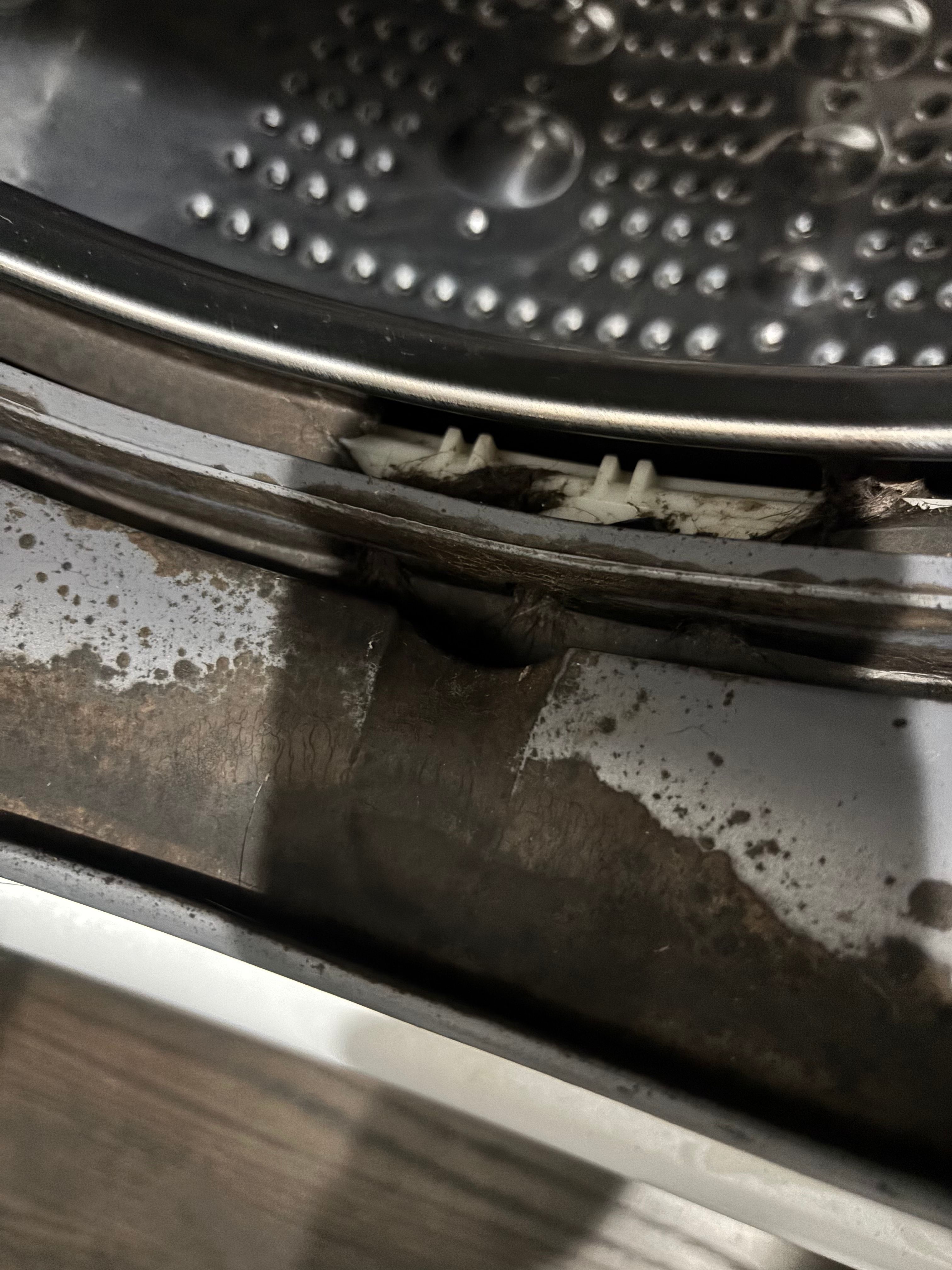 A Washer Full of Debris and Mold Deep-Cleaned in Chicago (photo 1)