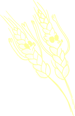 La Felicità - Food Court, Restaurant & Pizzeria in Paris 13