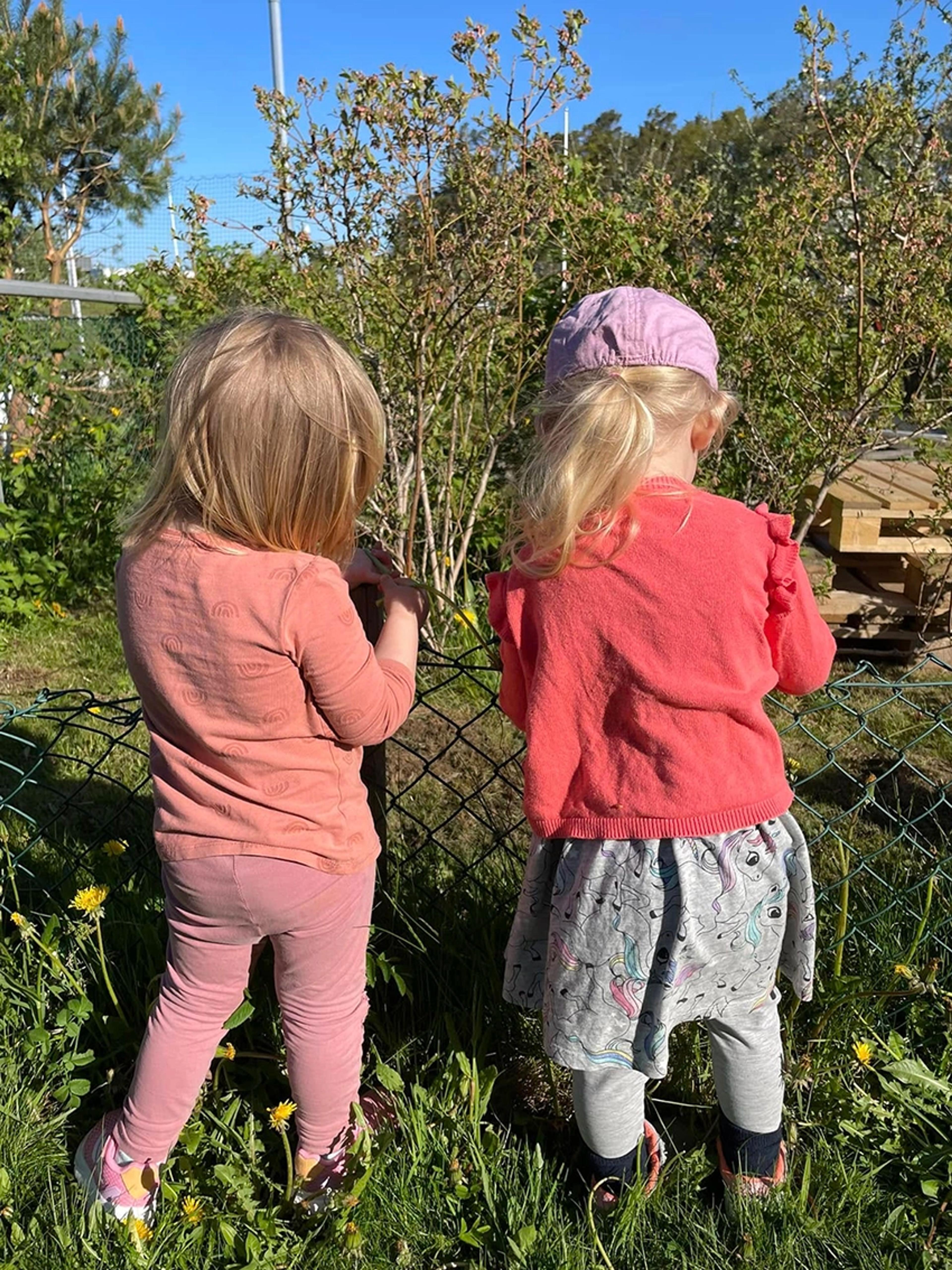 Barn som utforsker trær og planter i Espira Dvergsnes