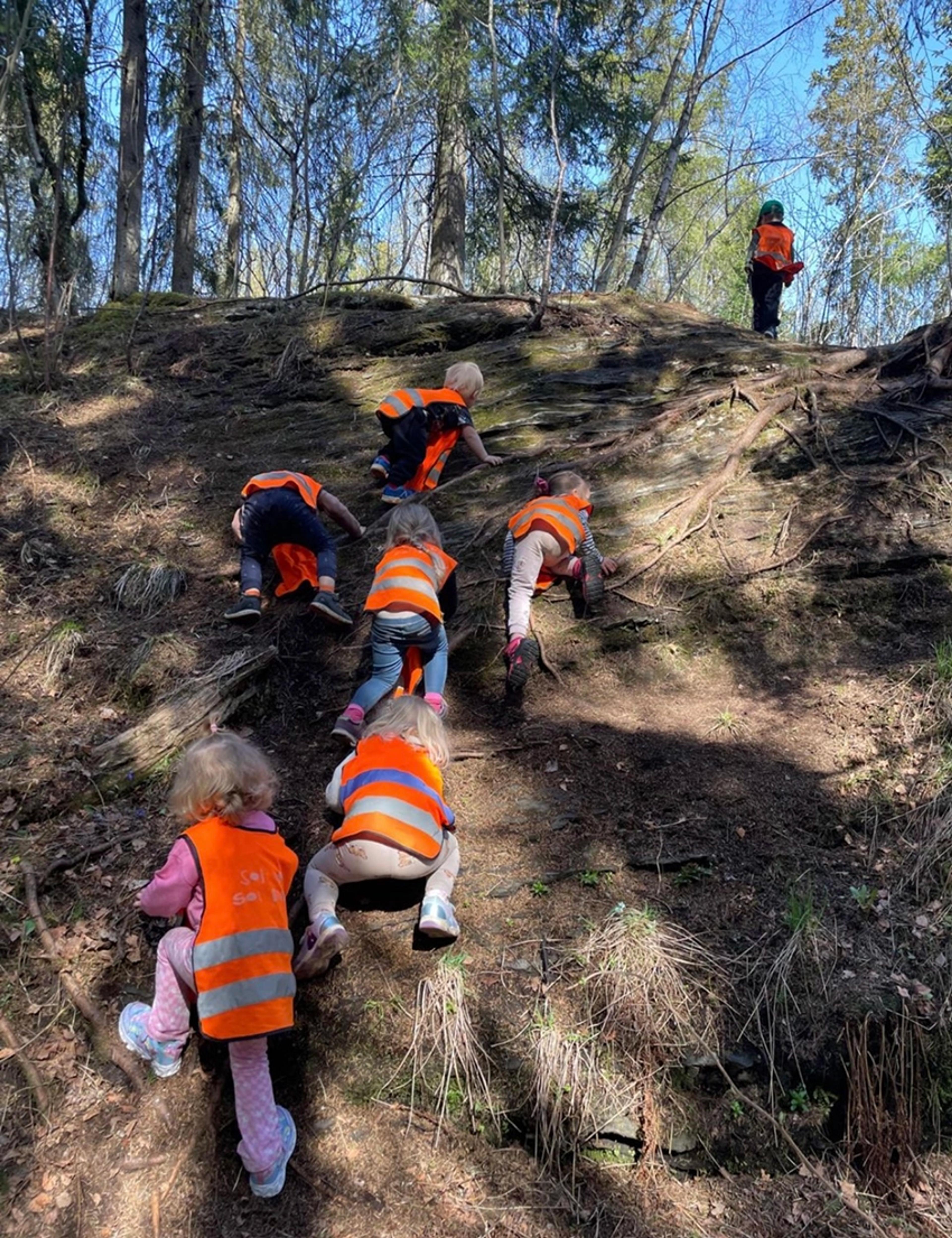 Barn på tur i skogen i Espira Gjemble 