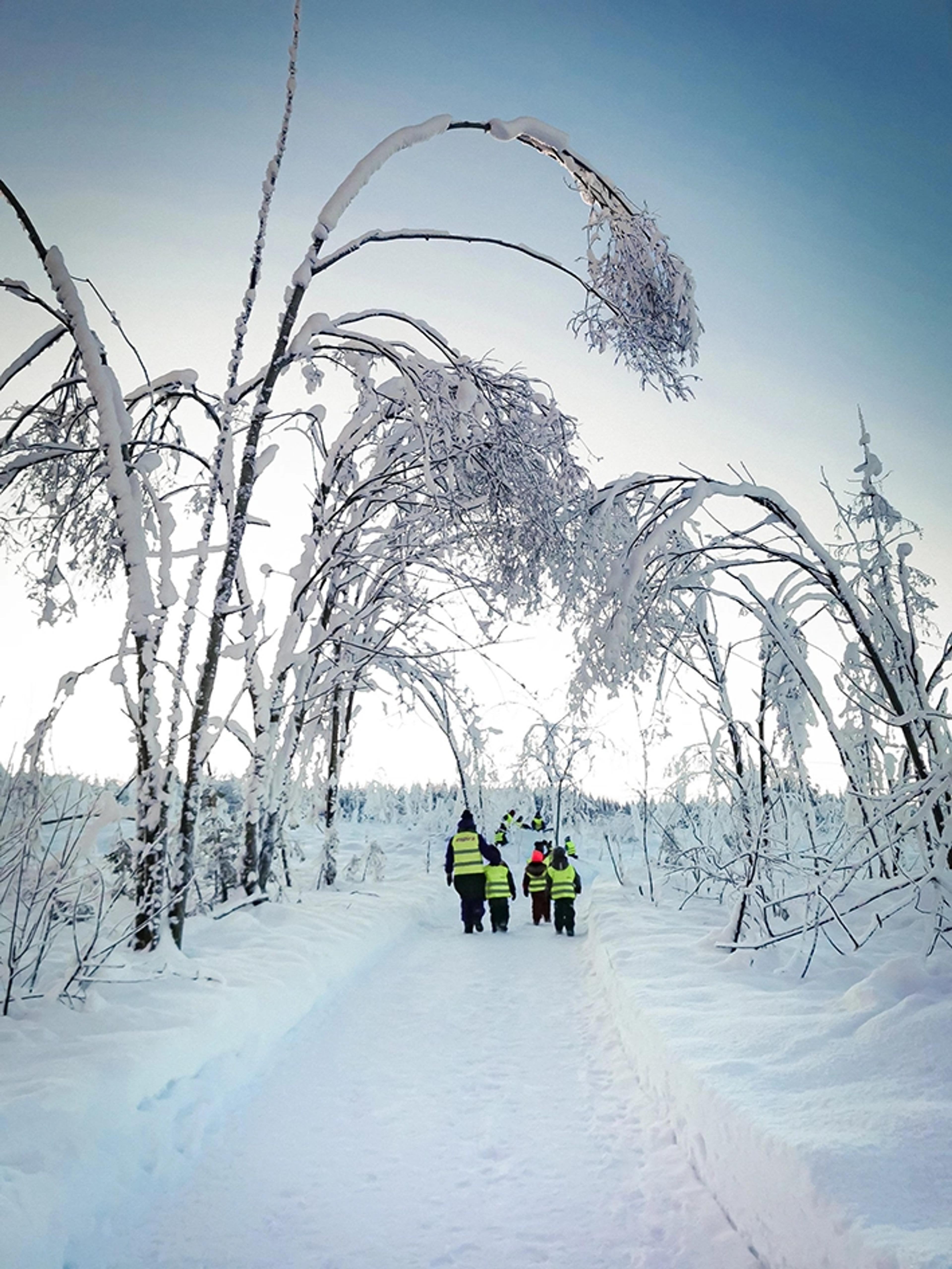 Barnehagebarn som er på tur om vinteren i Espira Dragerskogen