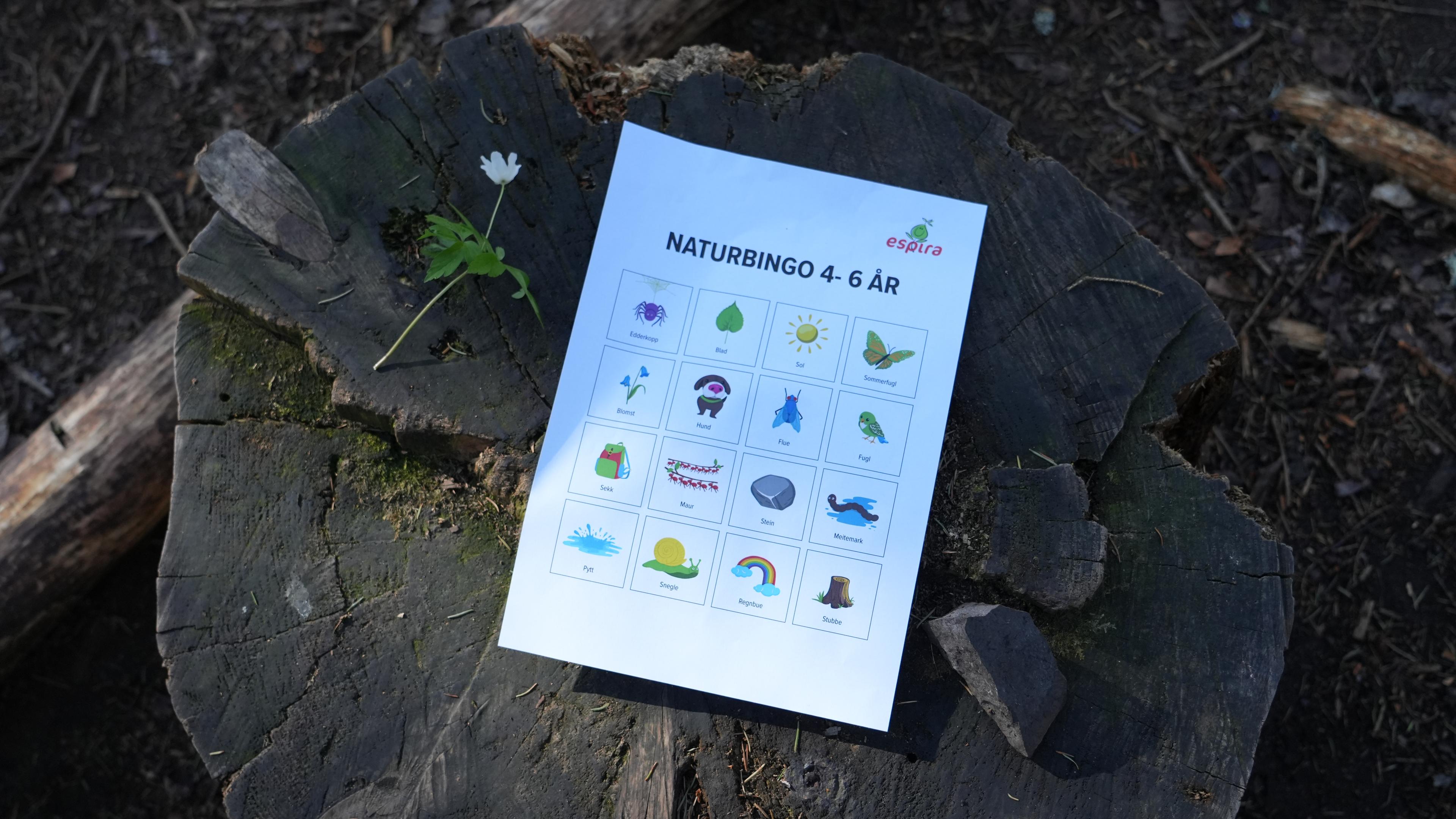 a book is sitting on top of a tree stump .