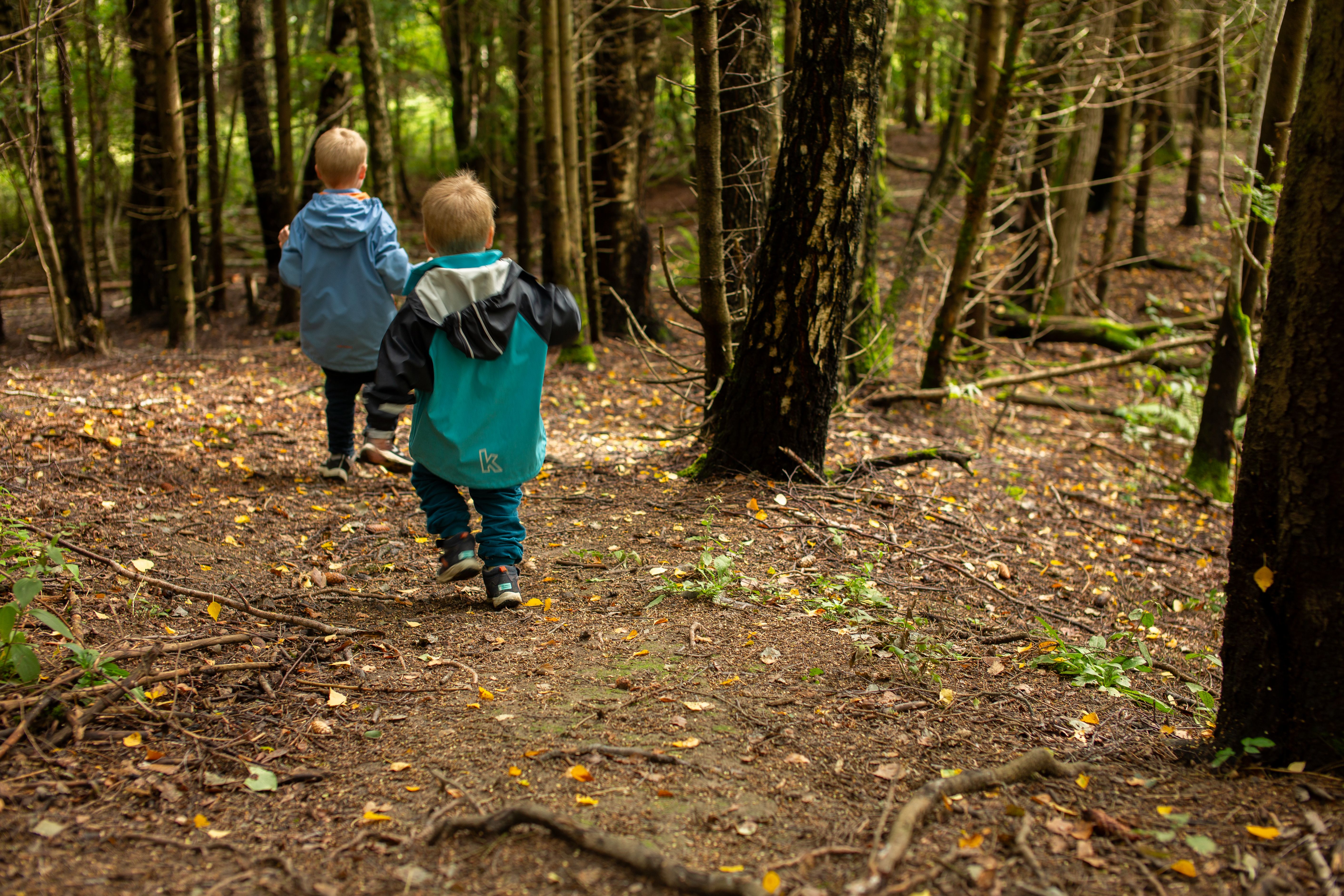 To barn som løper i skogen