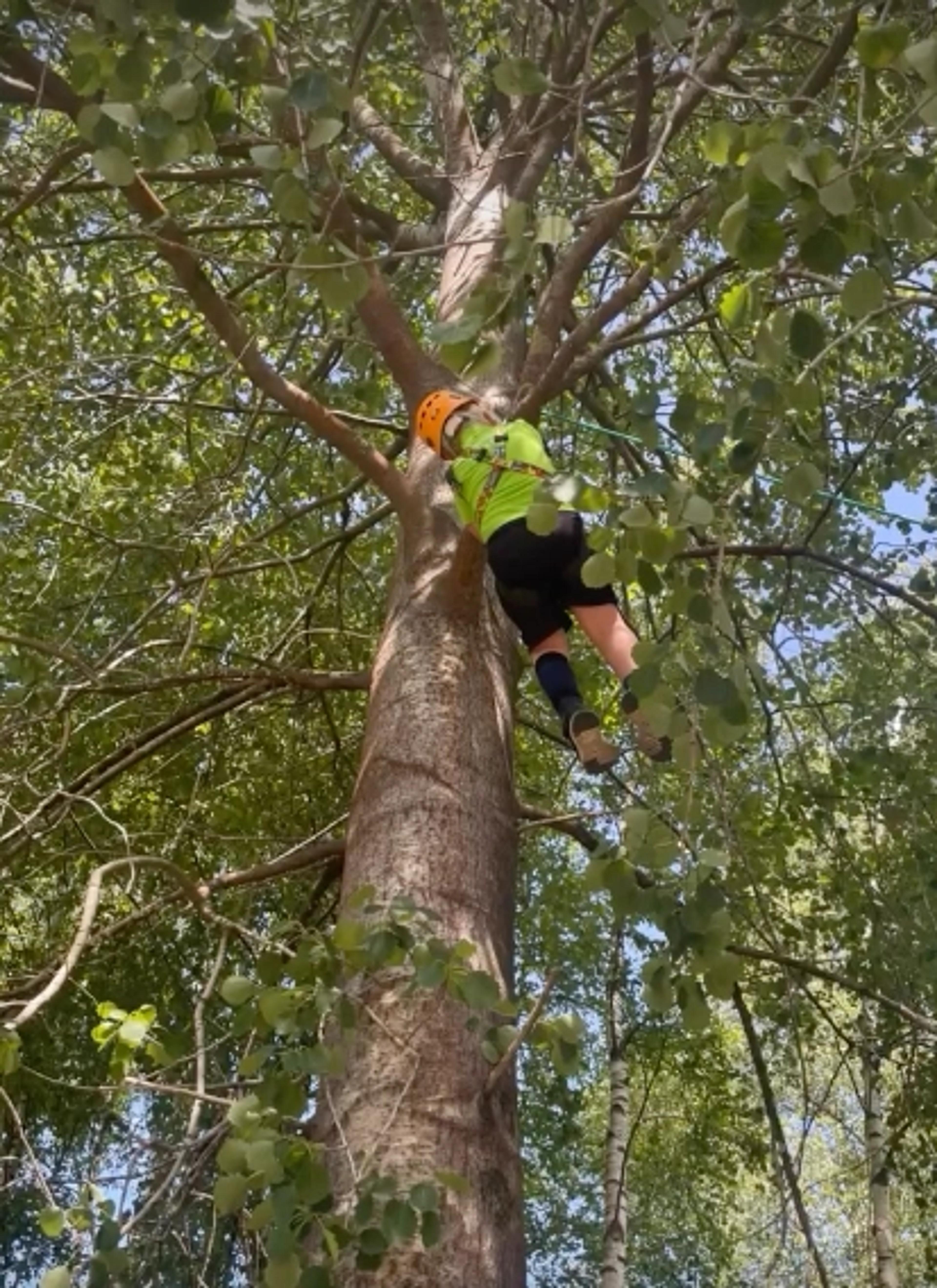 Barn som klatrer i Espira Holum