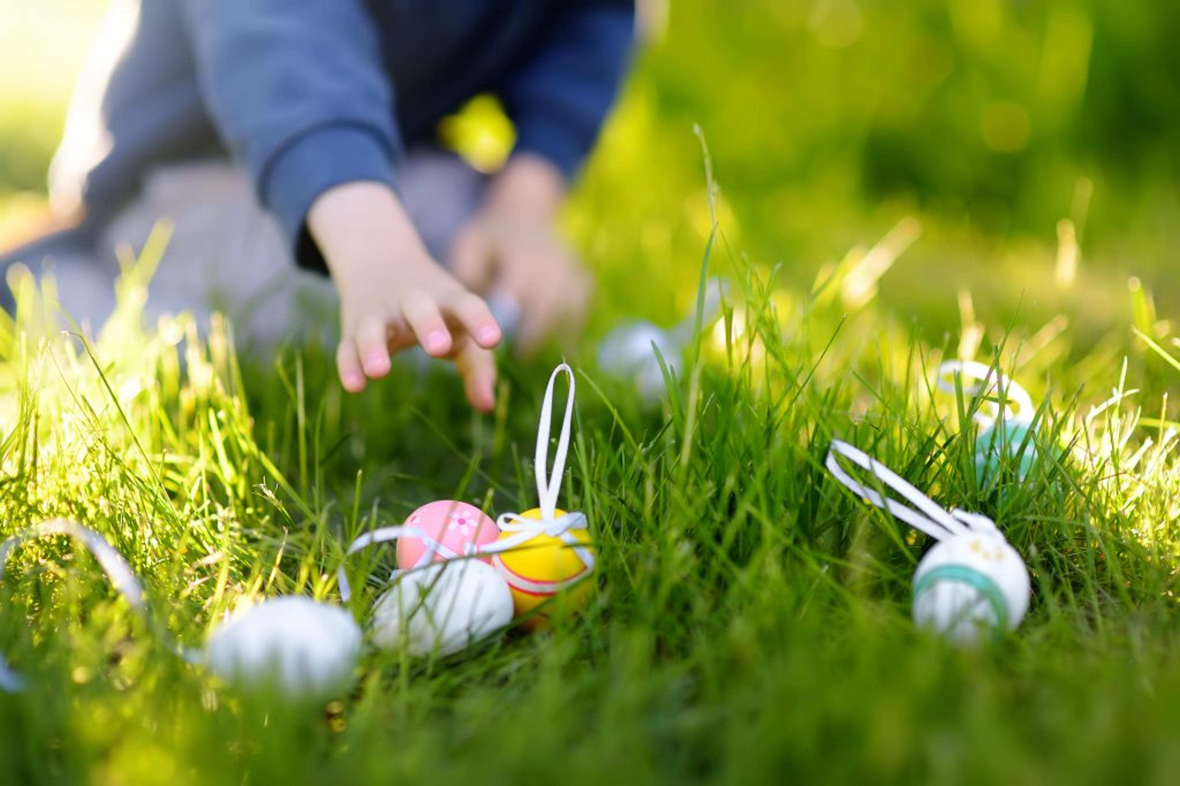 a child is picking up easter eggs in the grass .