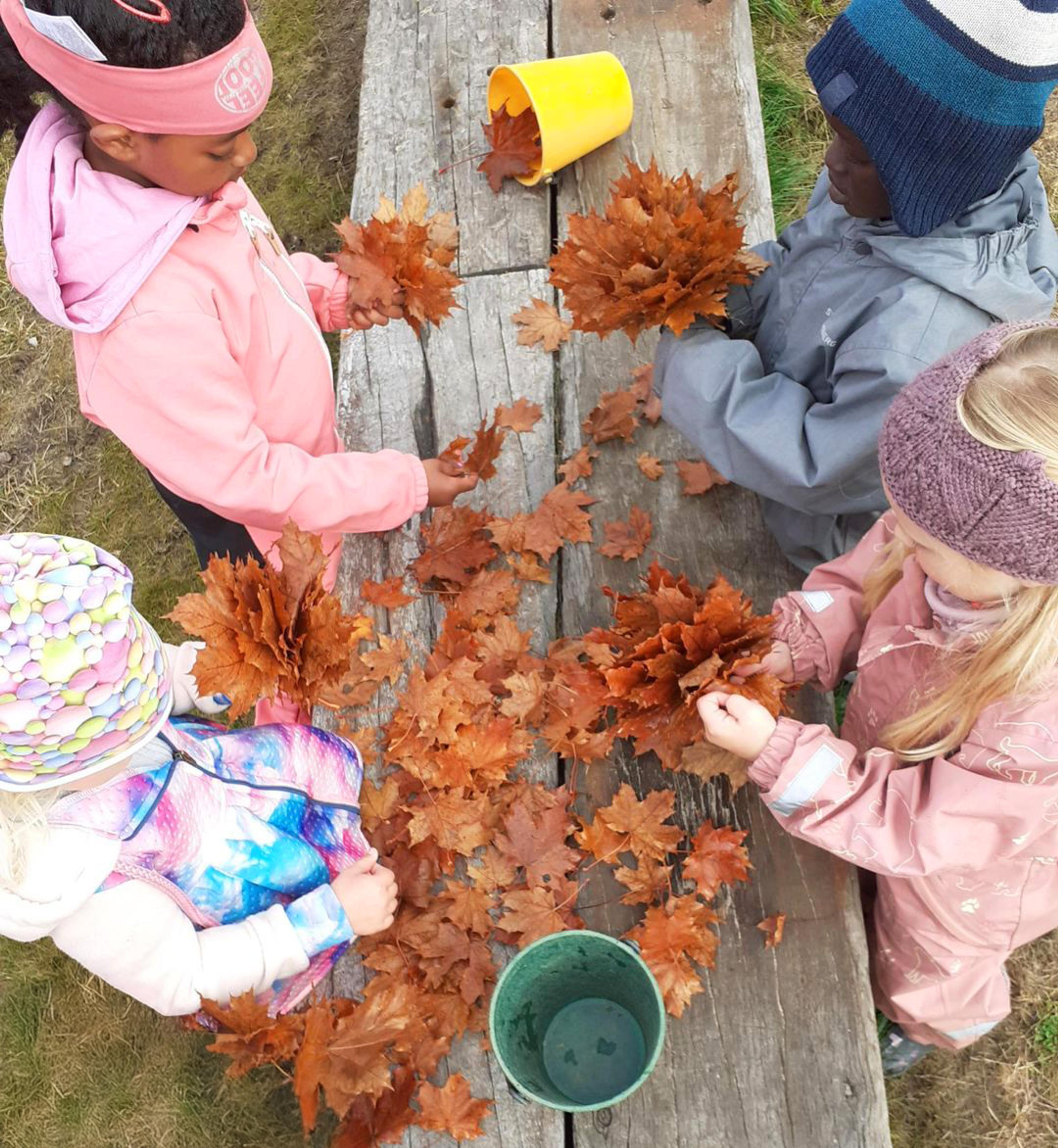 Høst på Espira Evangtunet
