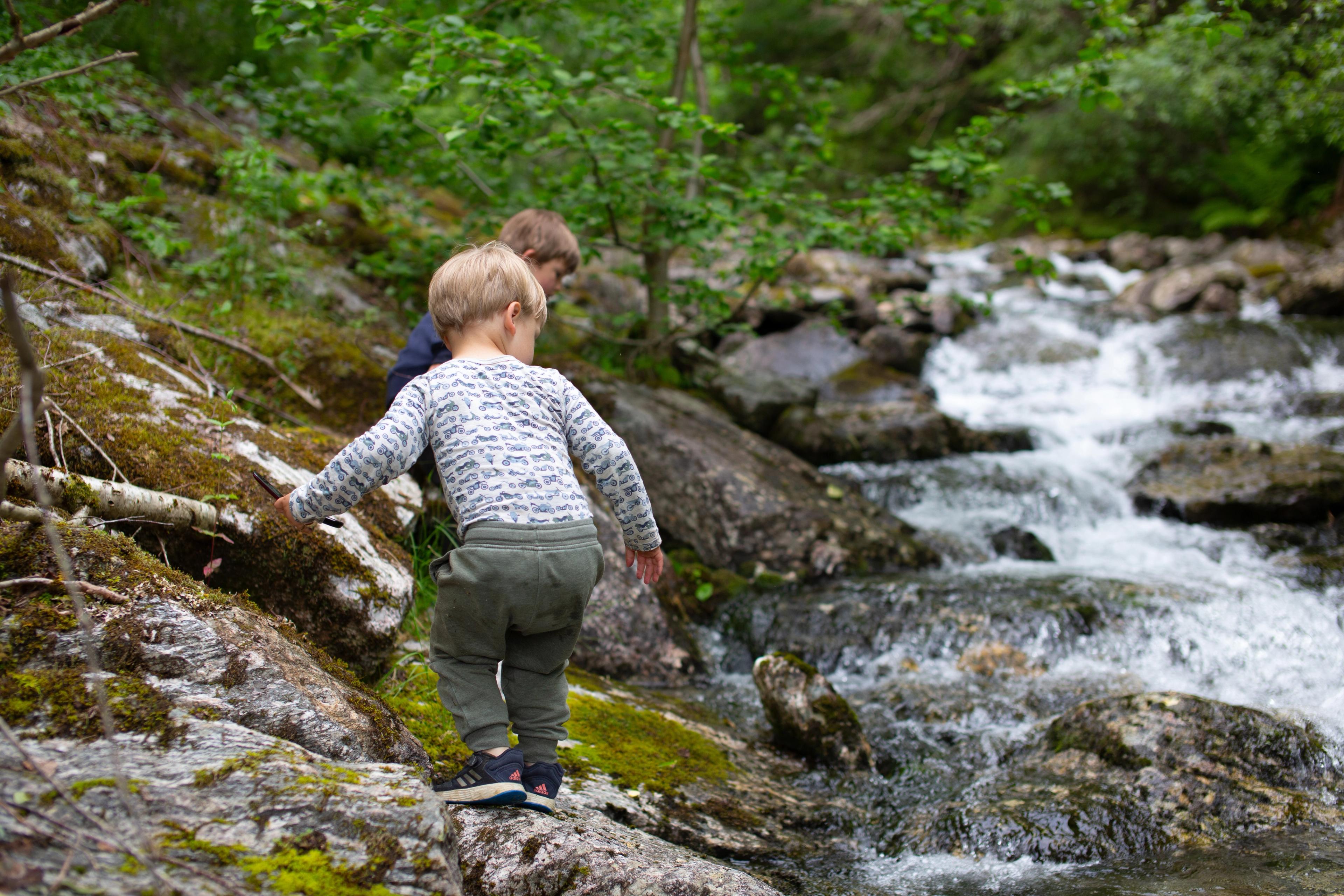 two young boys are playing in a stream in the woods .