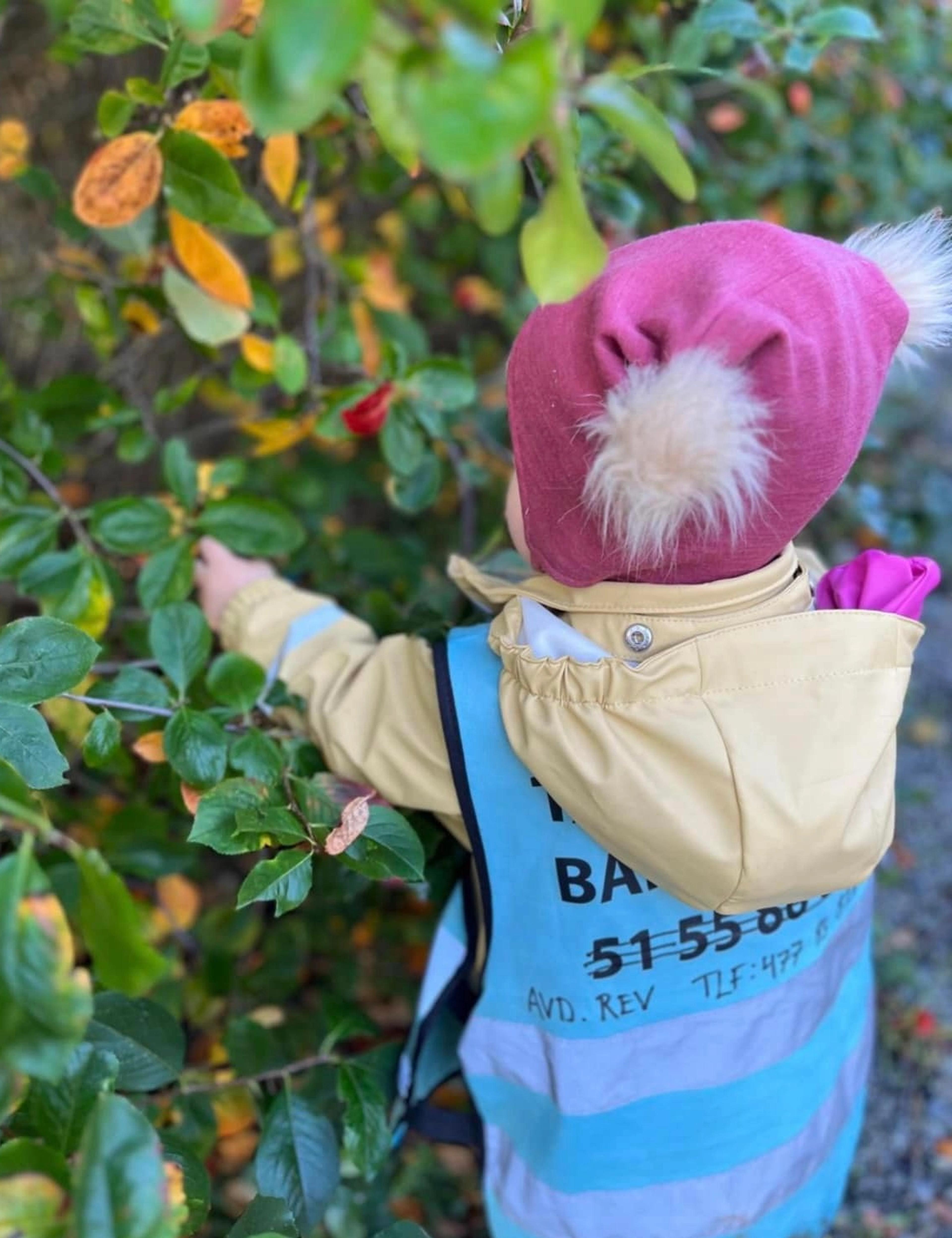 Barn i Espira Tastarusta som utforsker - realfag