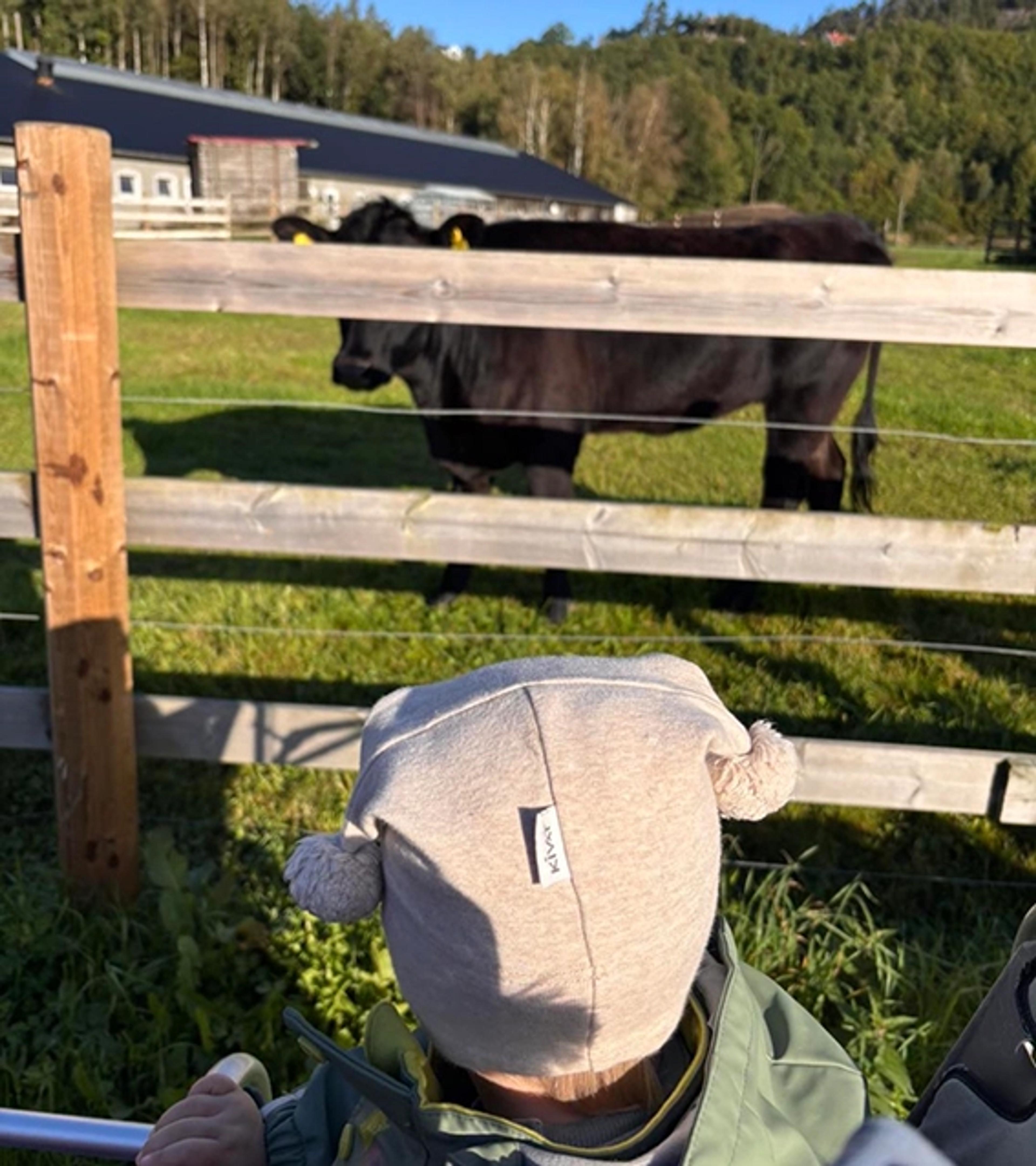 Barn på gårdsbesøk i Espira Lindesnes
