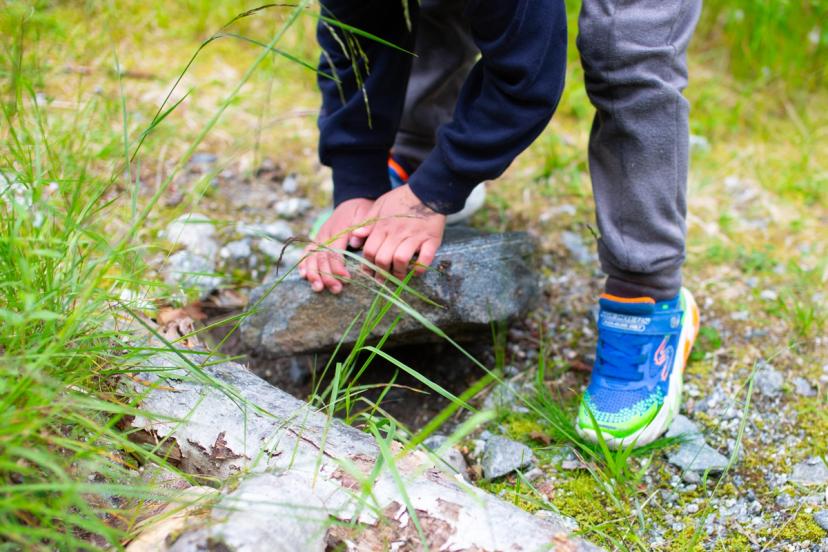 Barn som utforsker naturen. 