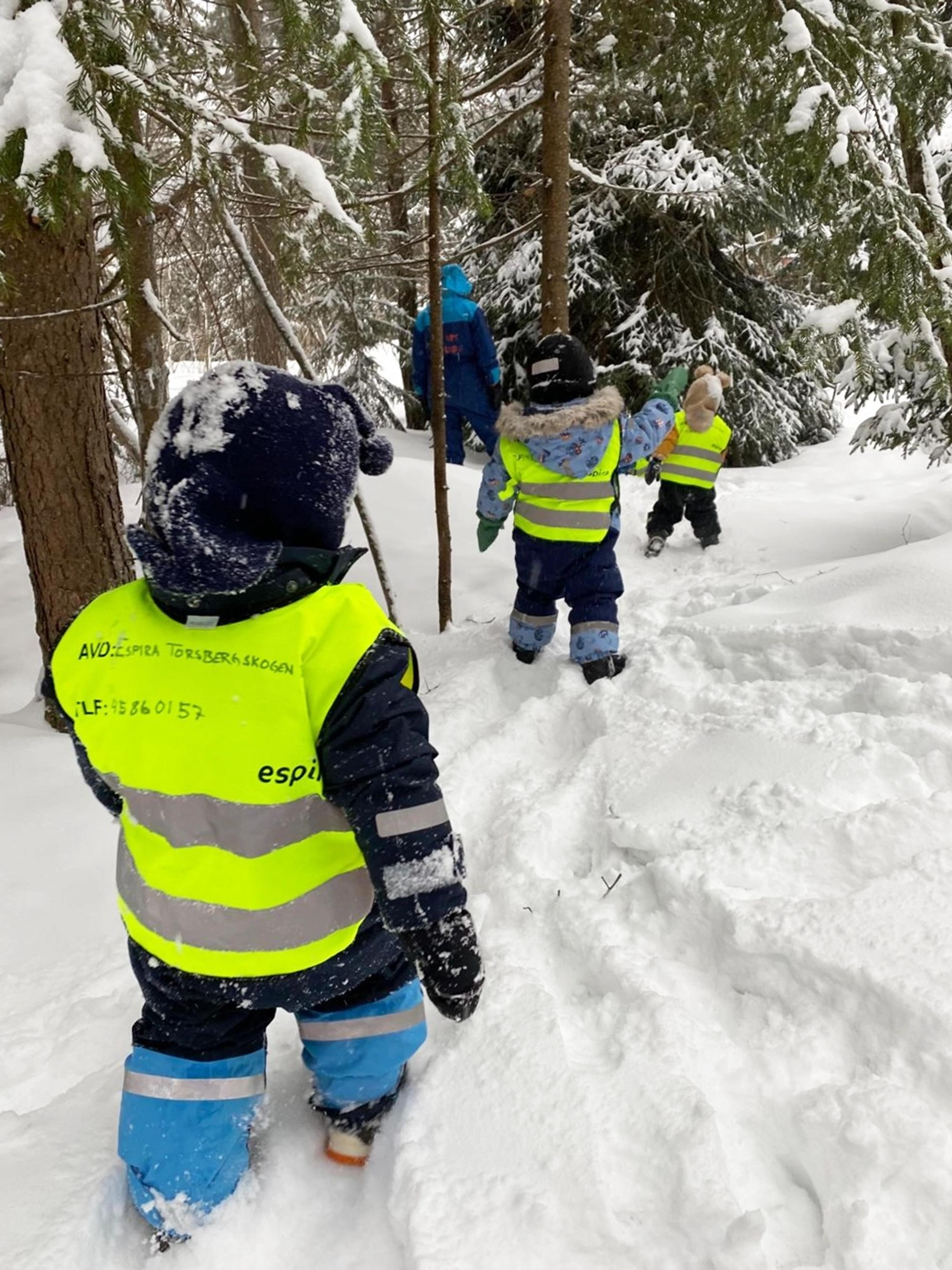Barn som går på tur i skogen i Espira Torsbergskogen