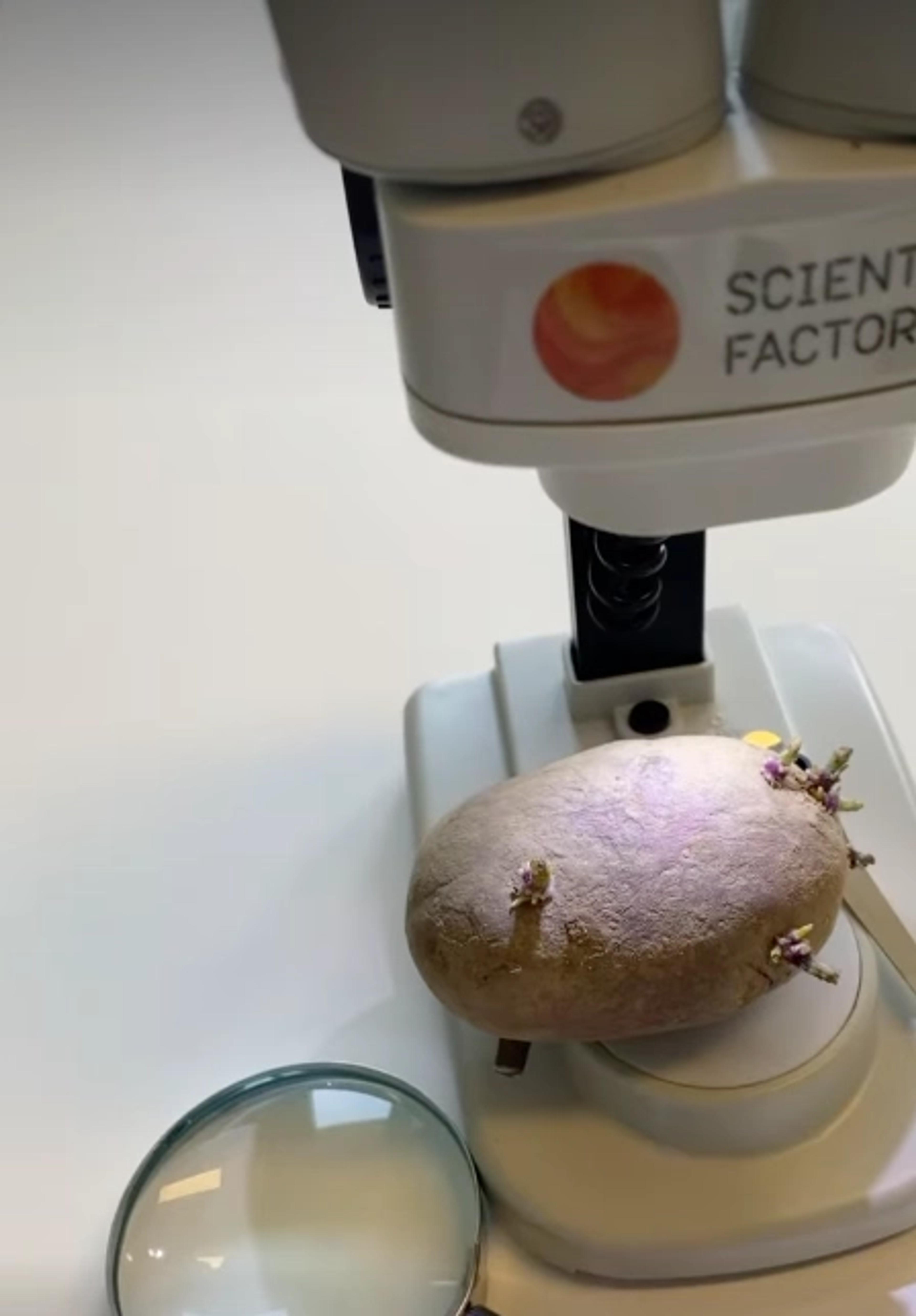 Realfag i barnehagen - forskerfabrikken - Espira Scala Hundvåg