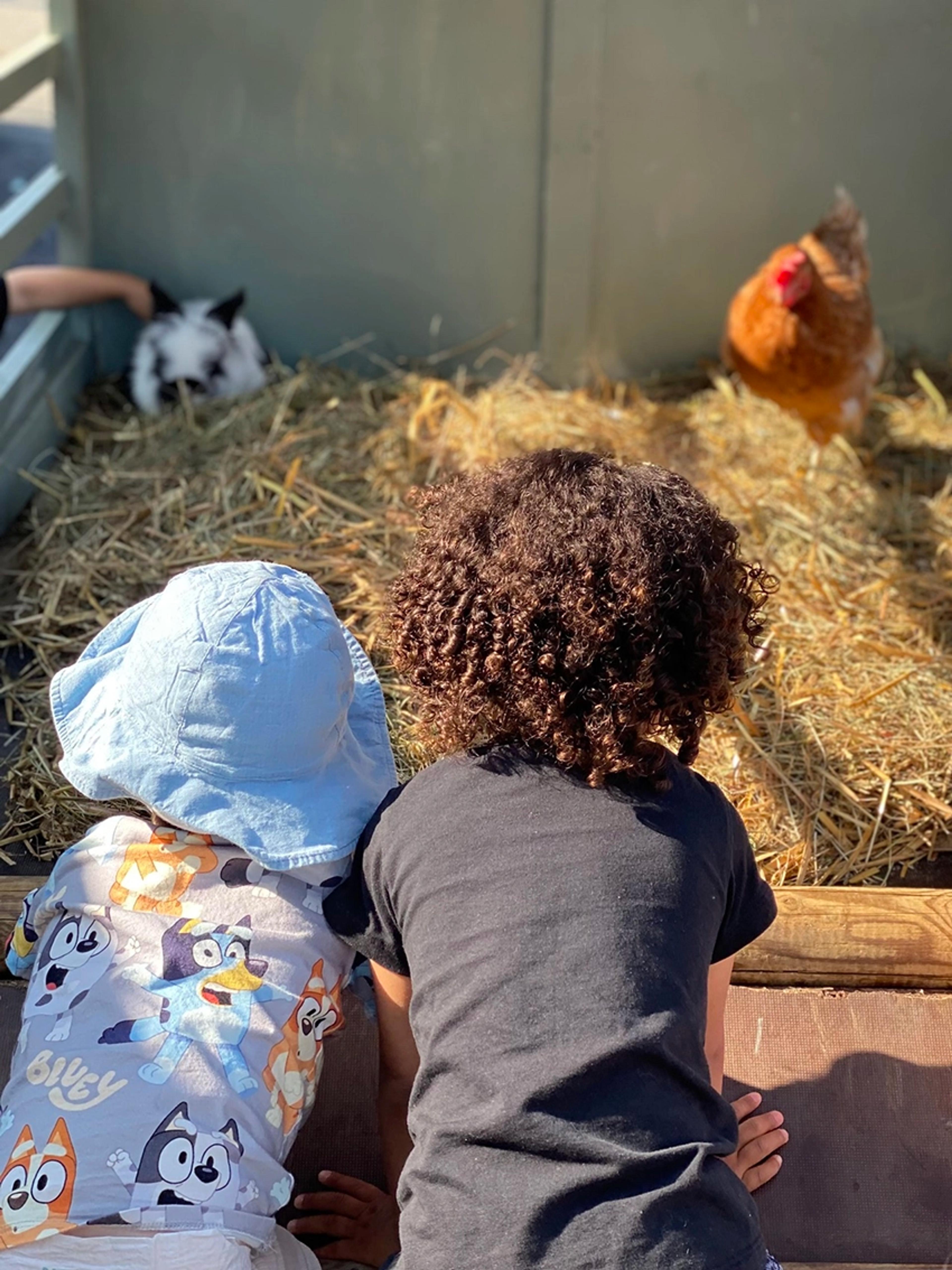 Barn på gårdsbesøk i Espira Kløverenga