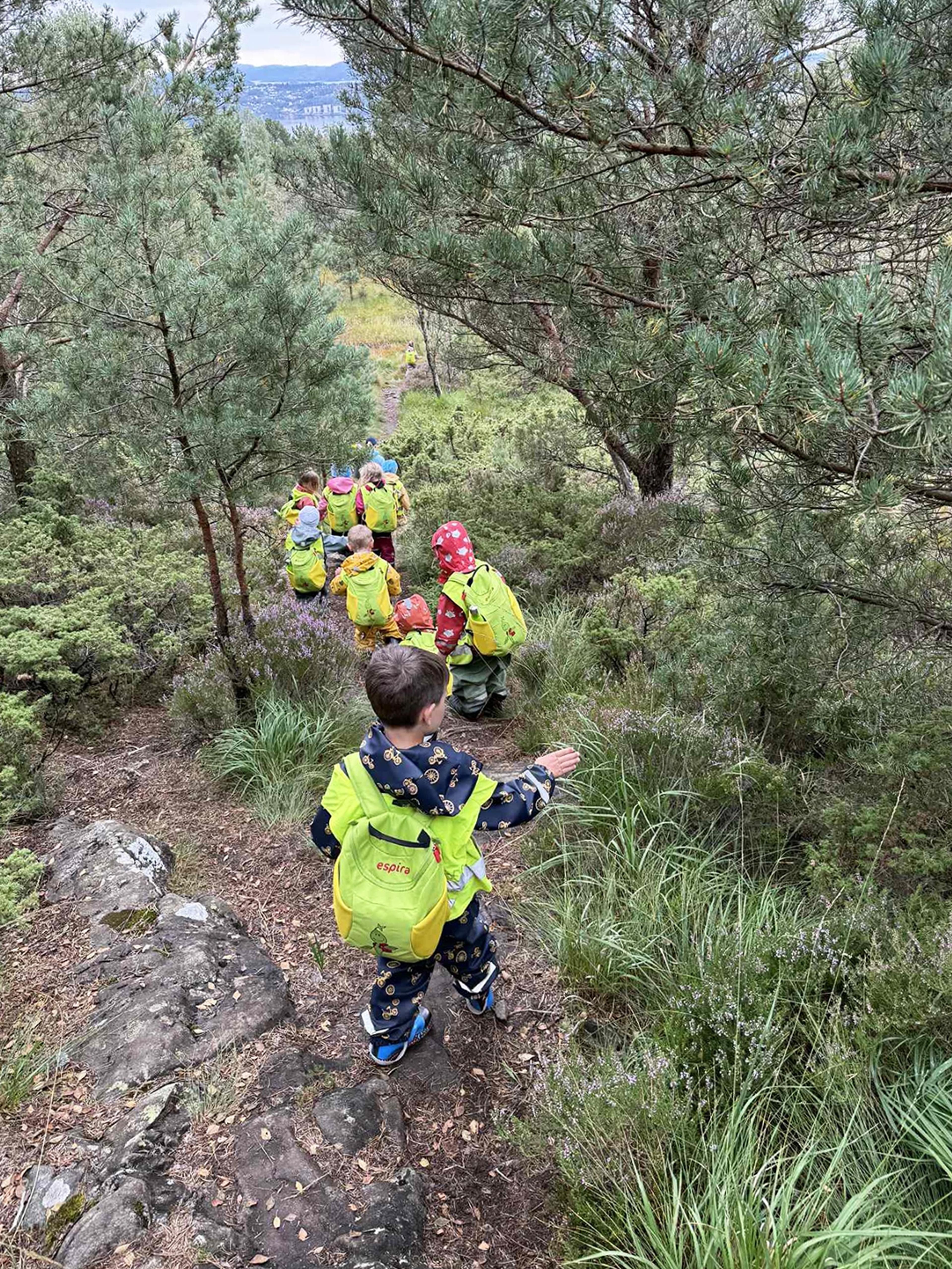 Barn på tur i skogen i Espira Stongafjellet