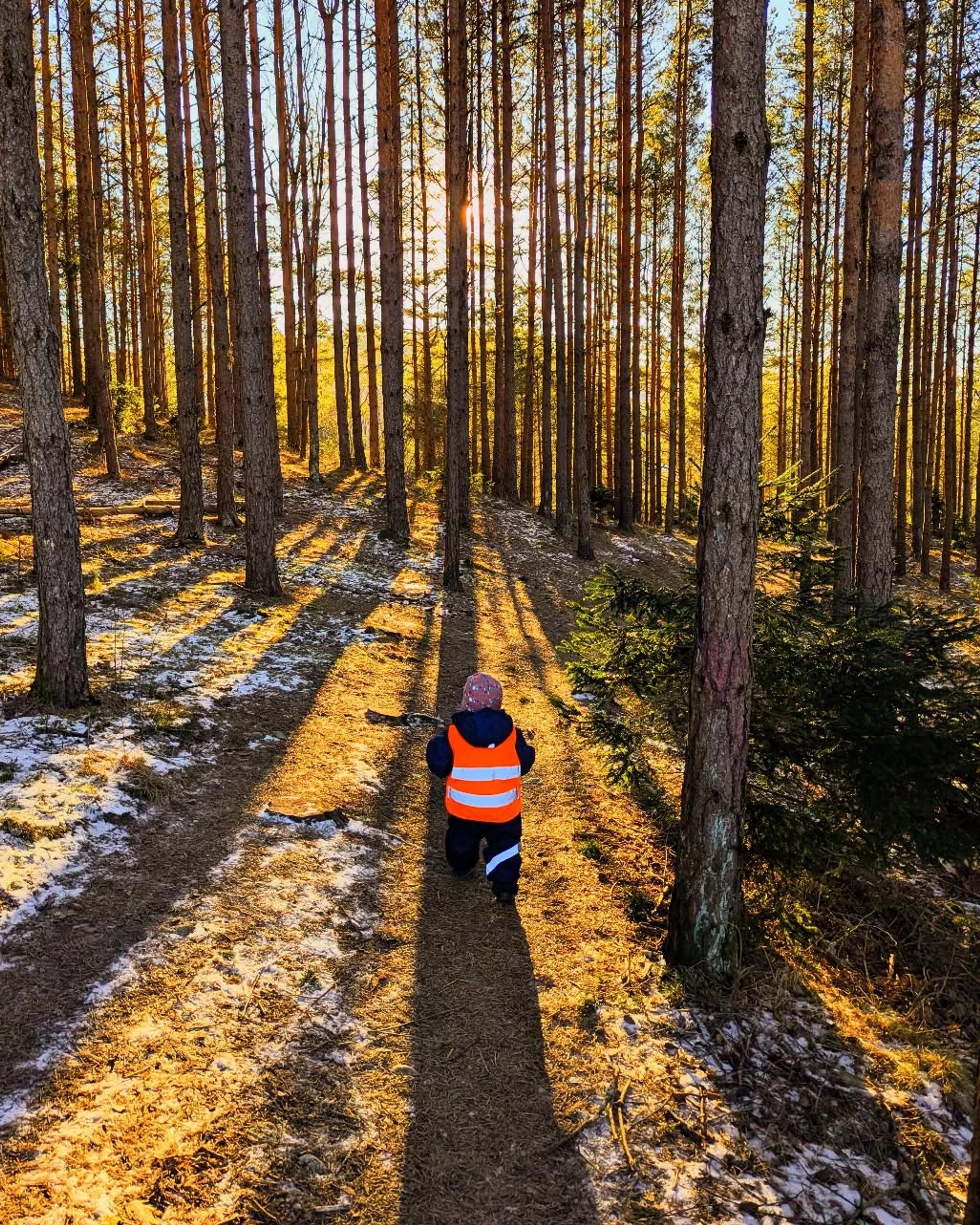 Barn på tur i skogen i Espira Oreid