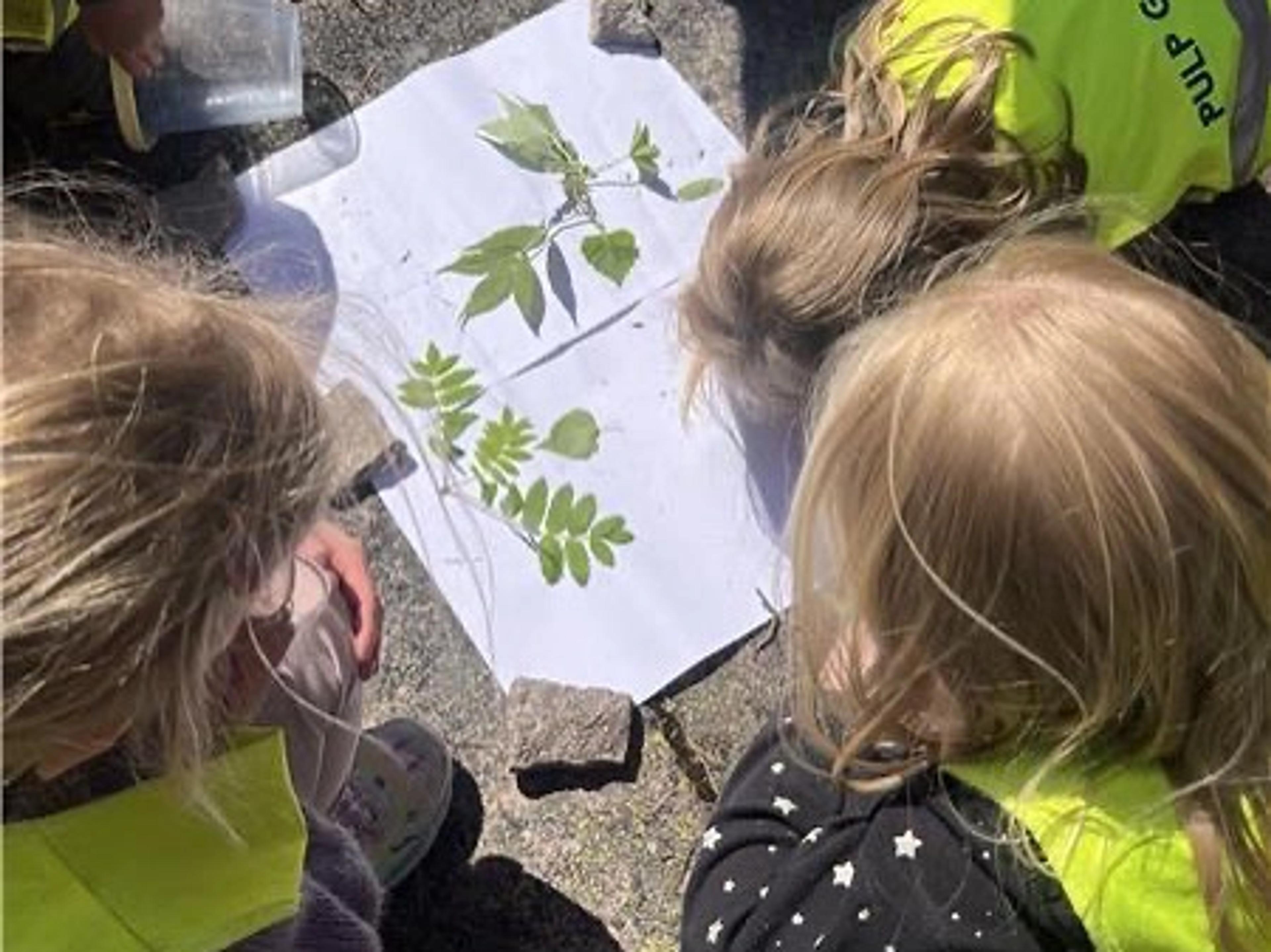 Realfag i Espira Marienfryd