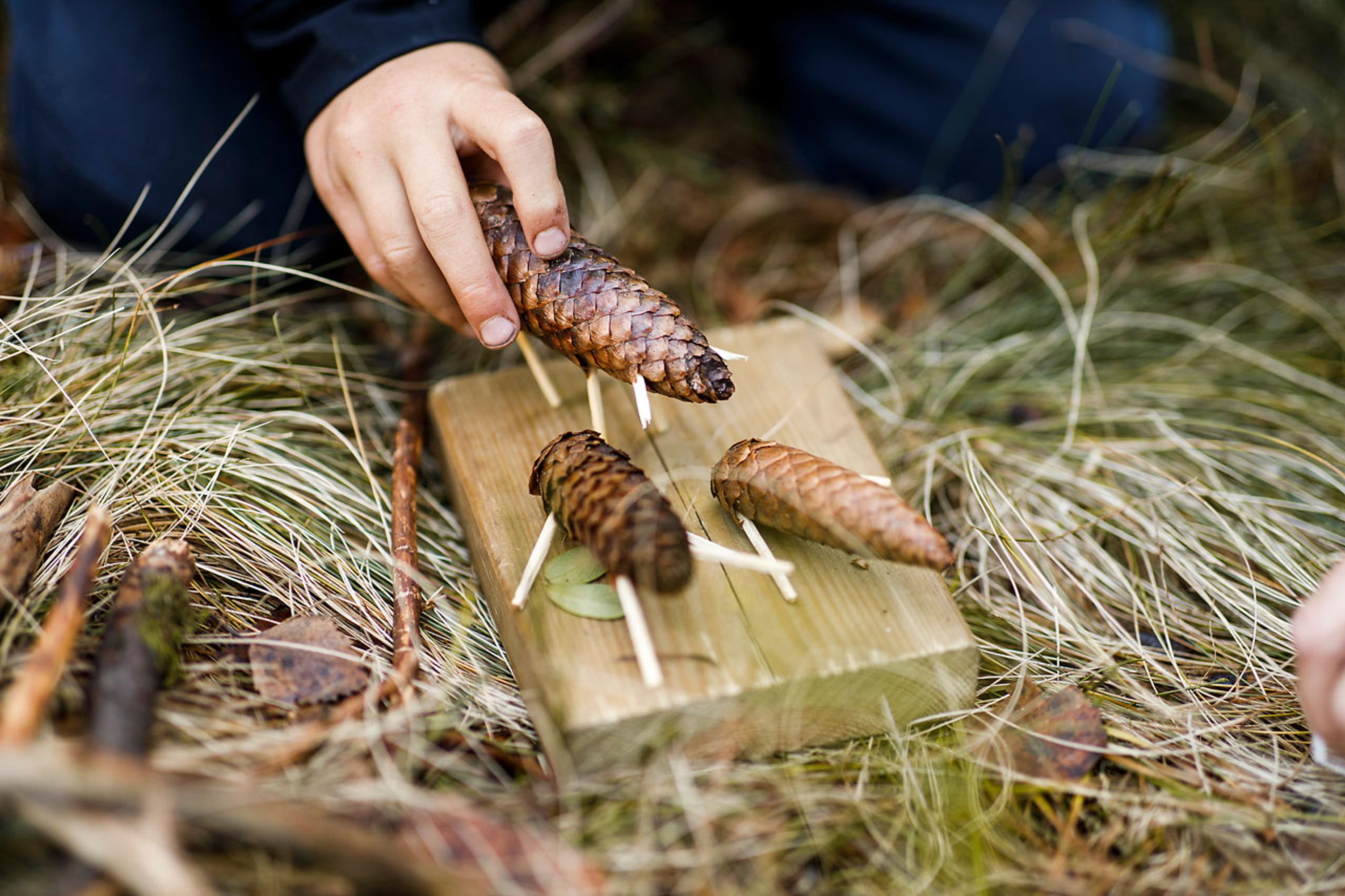Lek med kongler og lag din egen dinosaurjungel