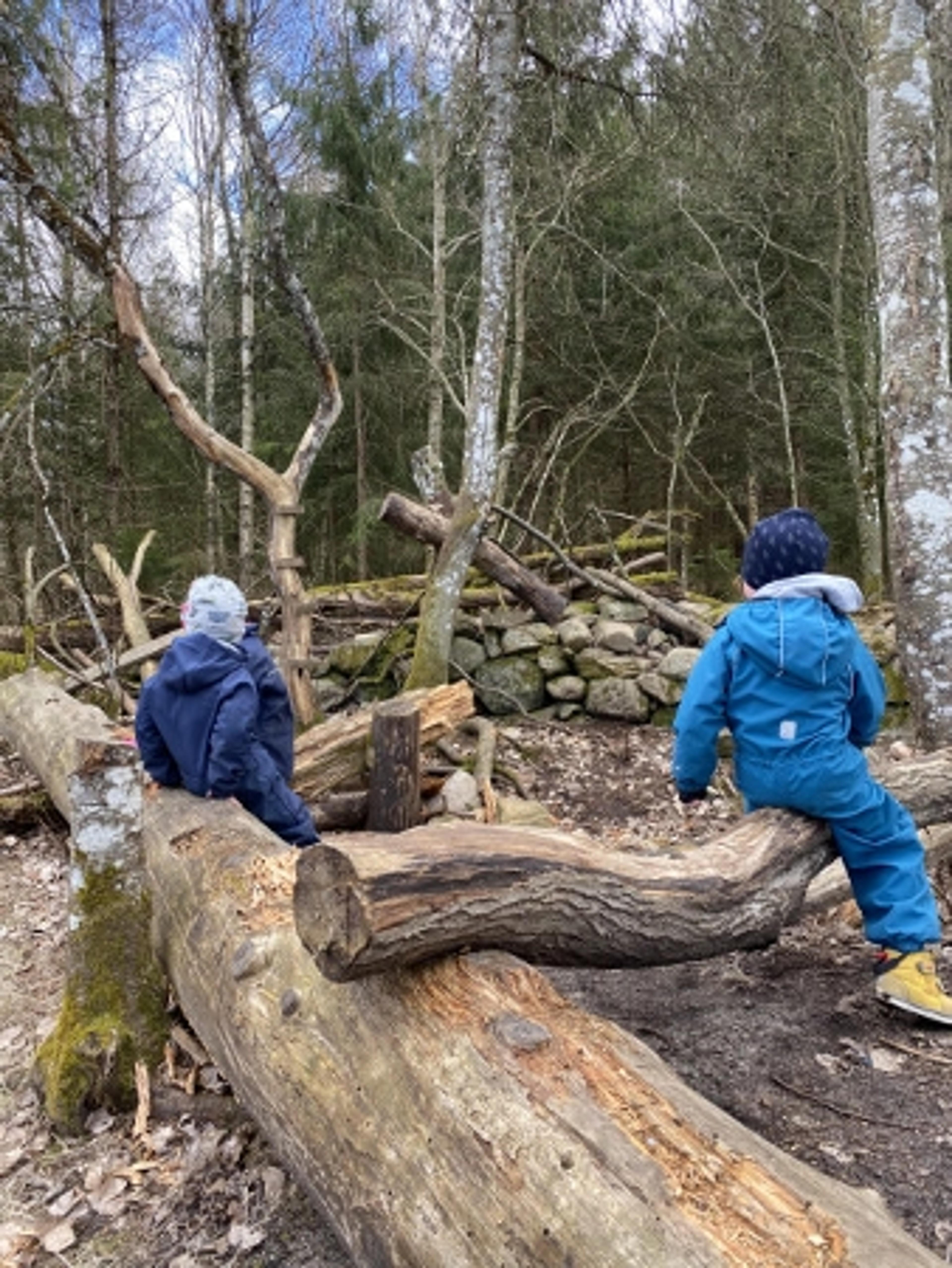 Barn som leker i skogen med stubber i Espira Fasanveien