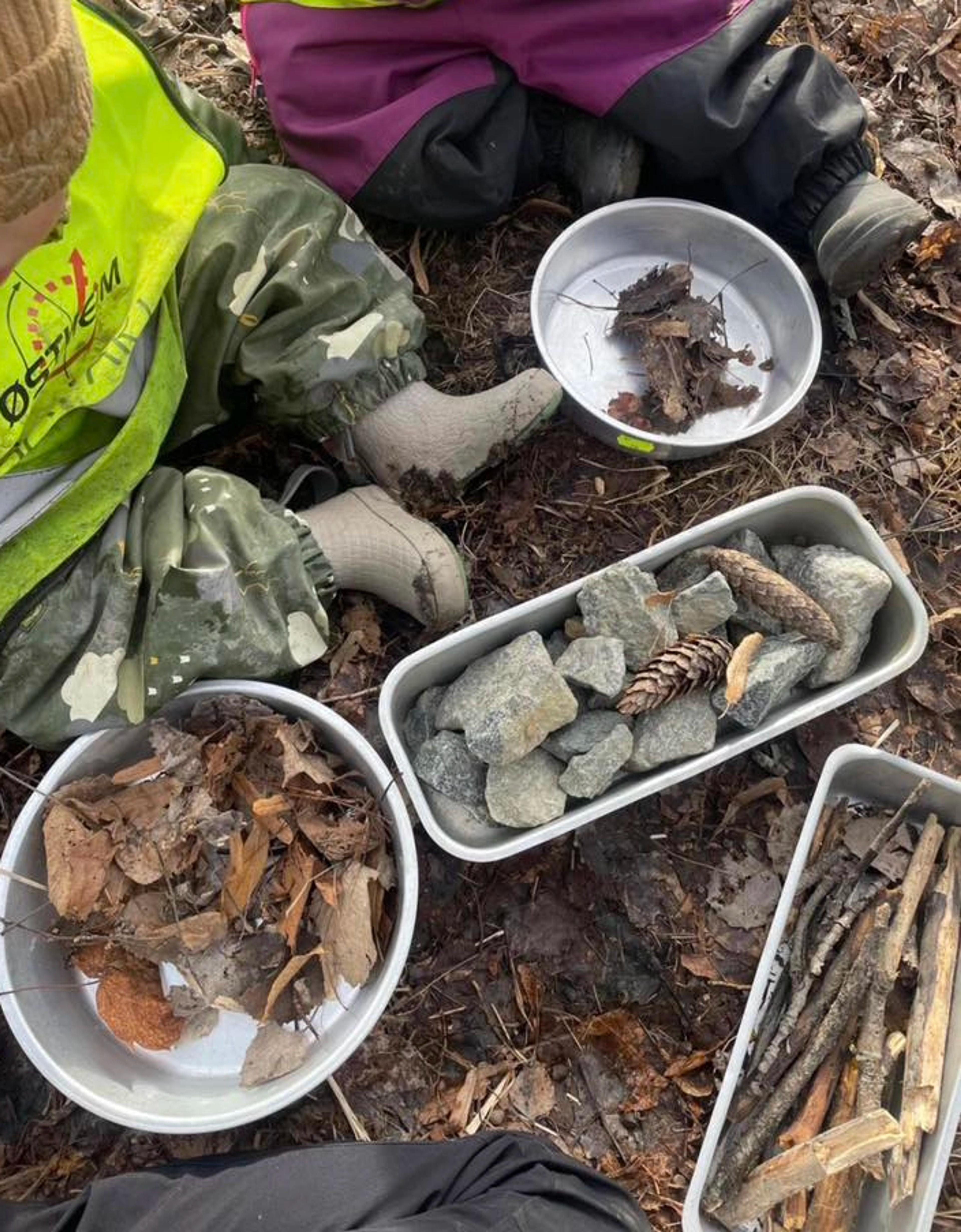 Lek og læring i naturen – barn utforsker løv, pinner og steiner