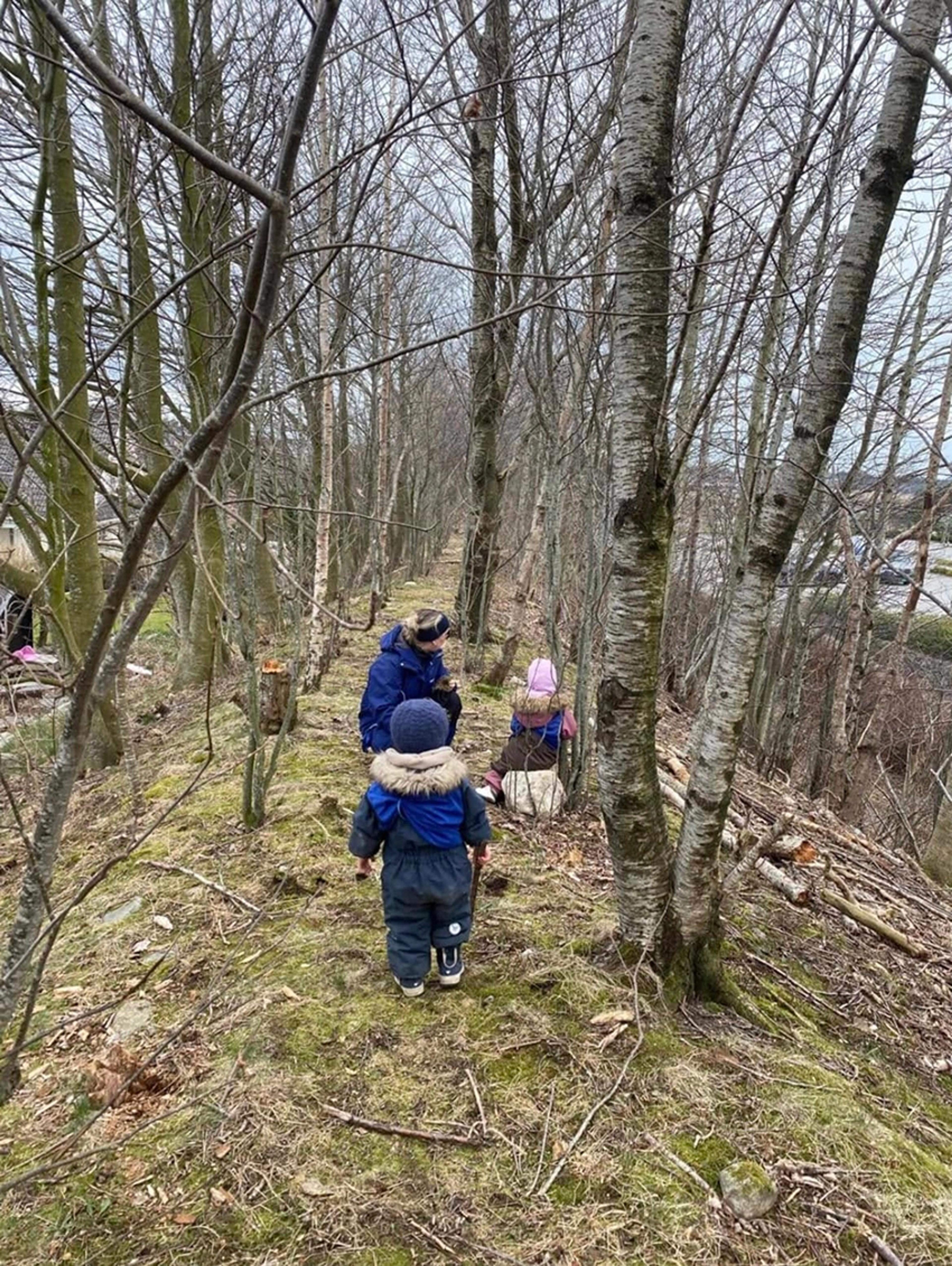 Barnehagebarn på tur i Espira Ormadalen om vinteren 