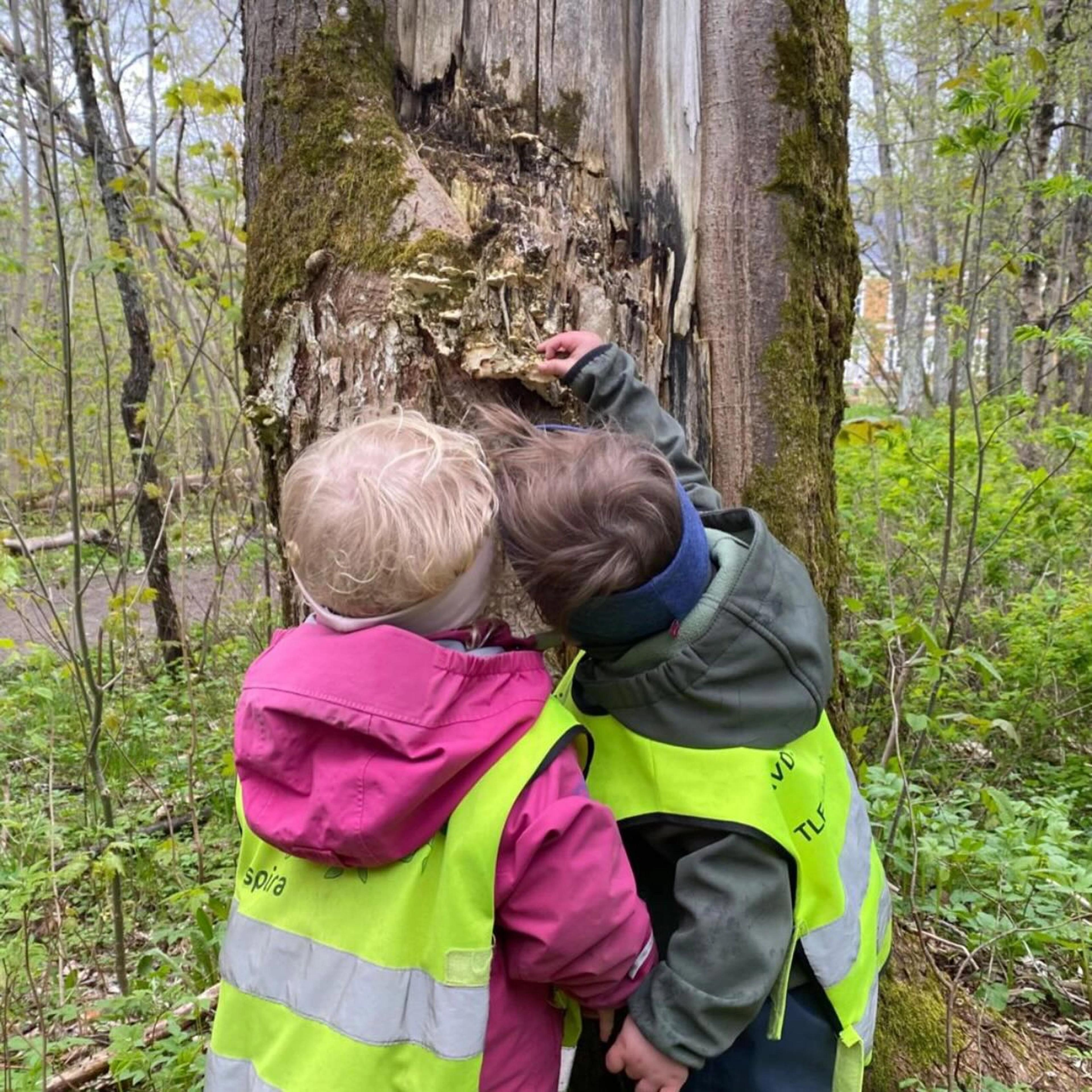 Barn på tur i skogen Espira Kystad gård