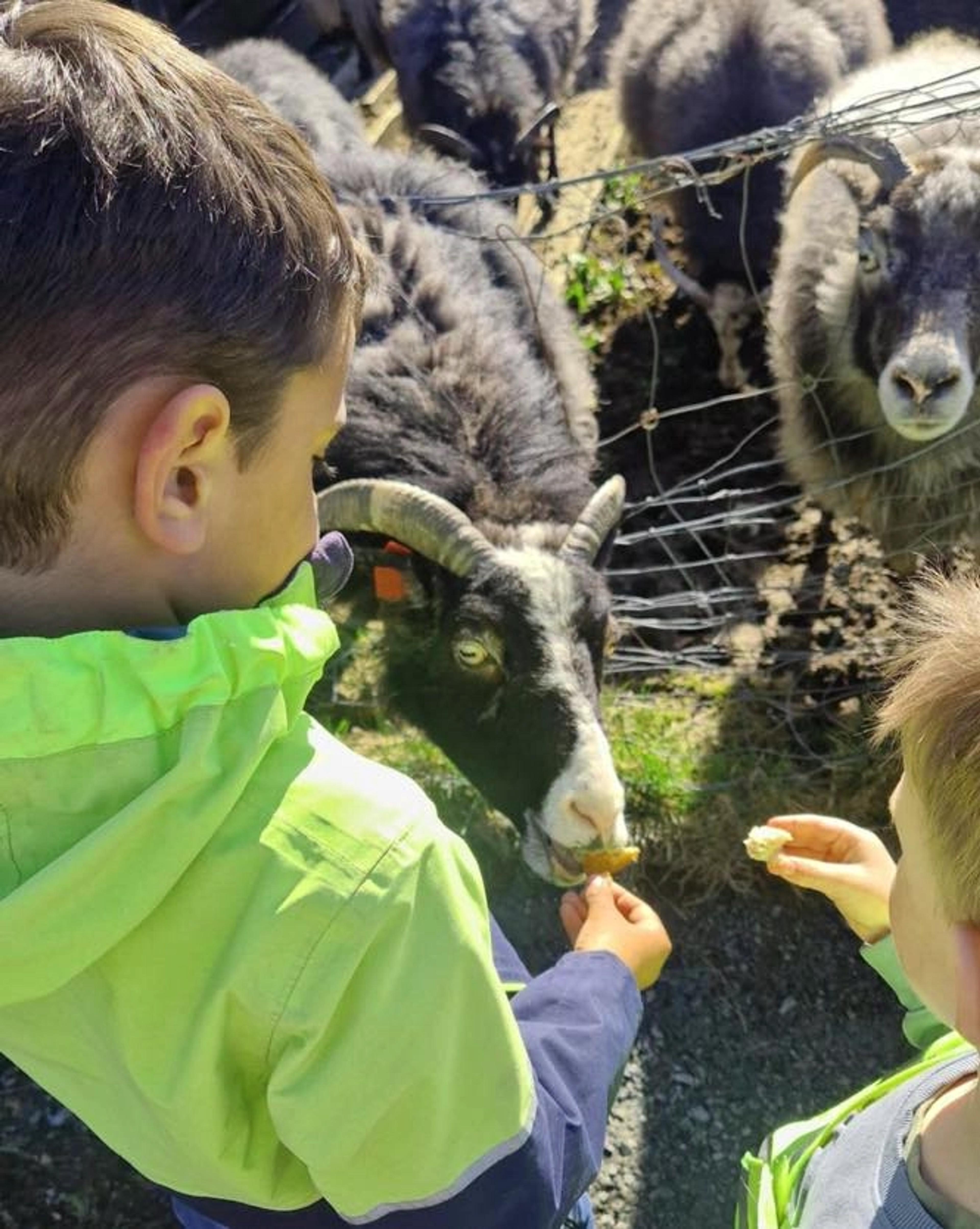 Barn fra Espira Skåredalen besøker geiter