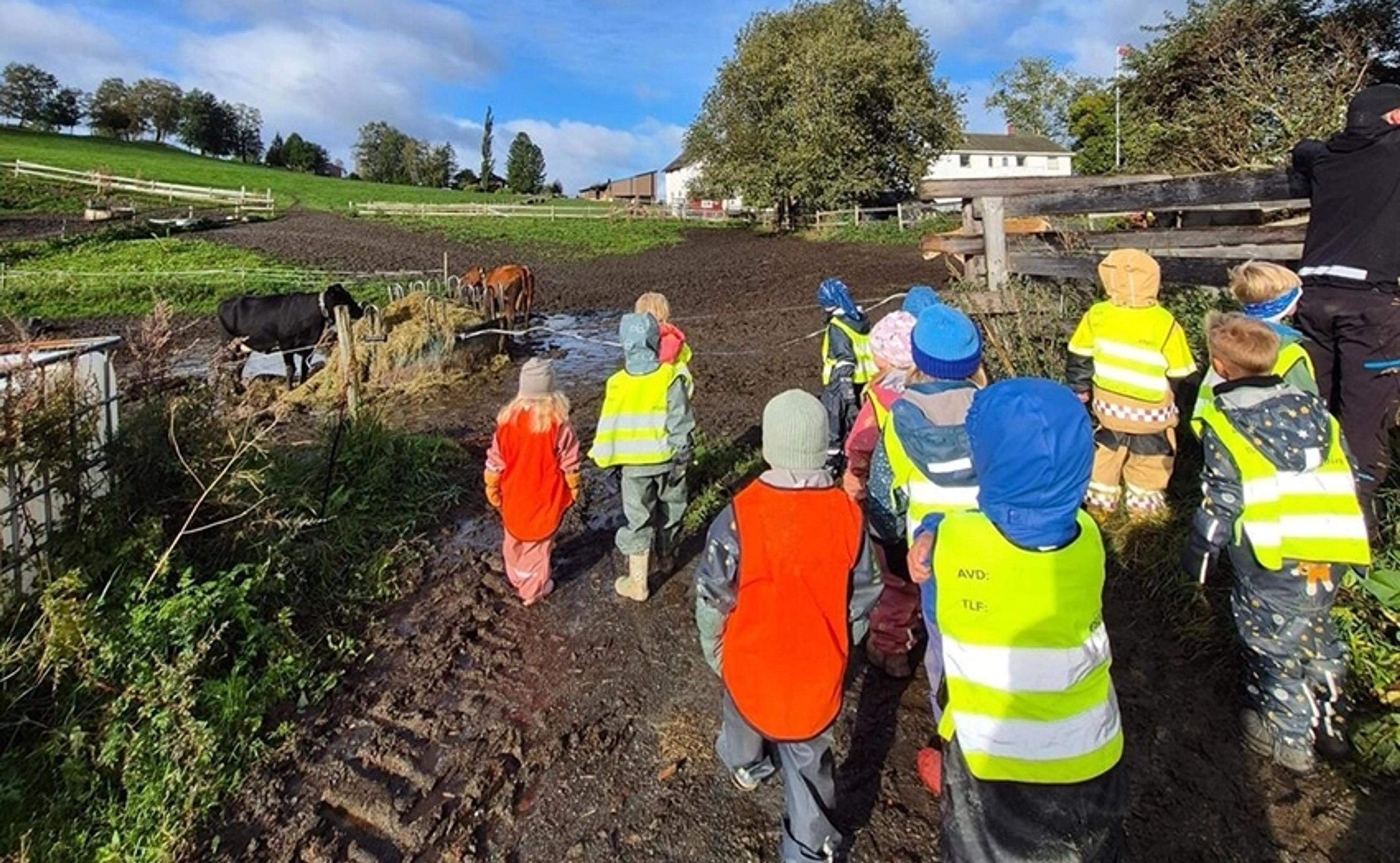 Opplevelsesrik dag for barnehagebarn på gårdsbesøk