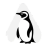 Pengu Insights Editorial Team