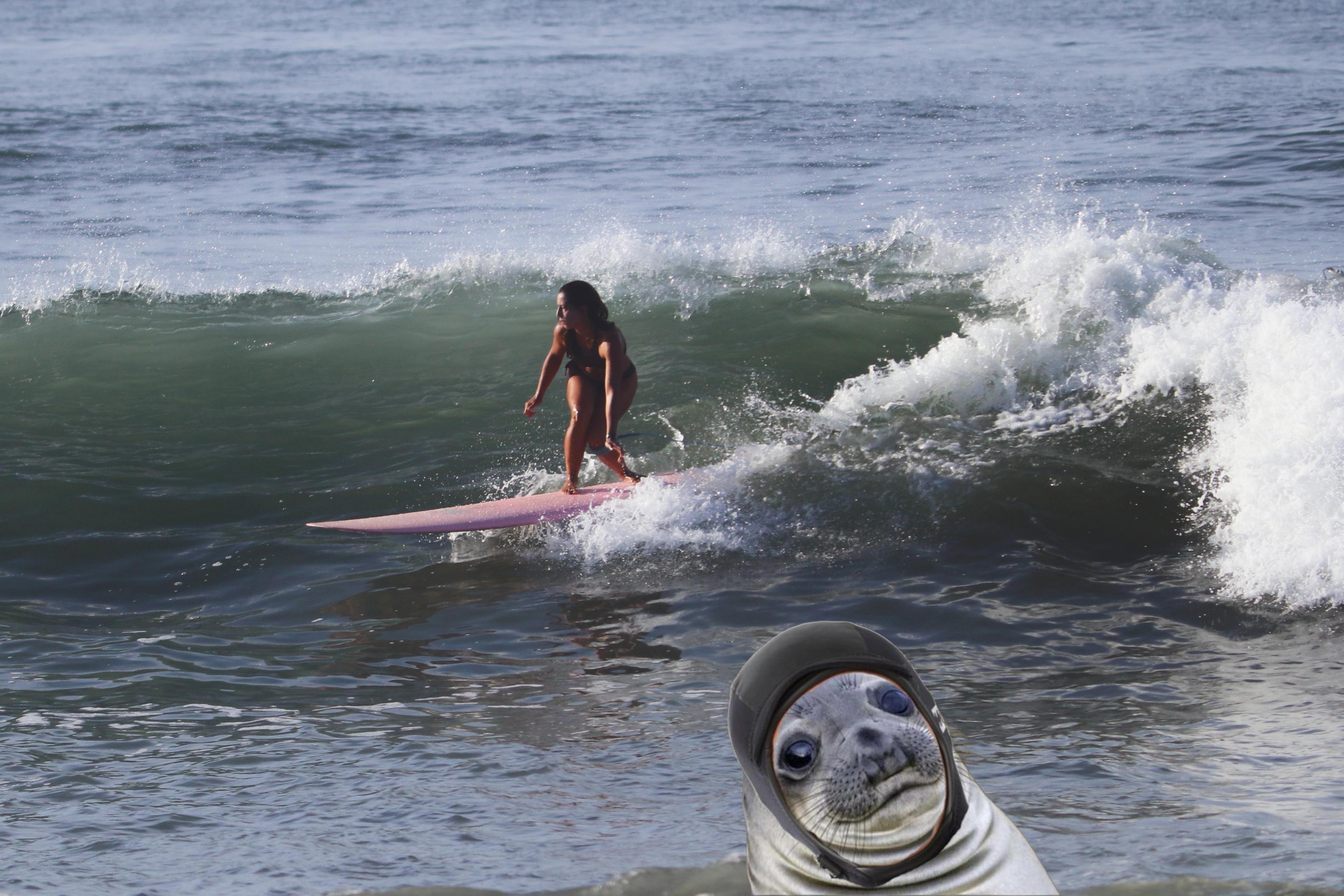 Girl surfing on a longboard