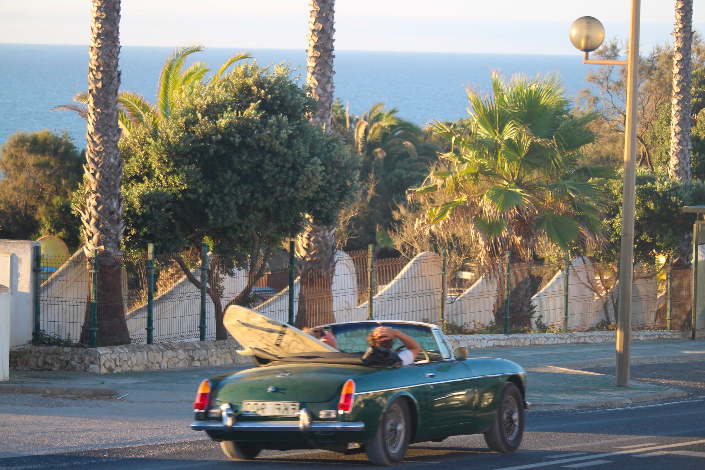 Palm-lined street near Tamraght, Morocco, where Sea Me Smile took root