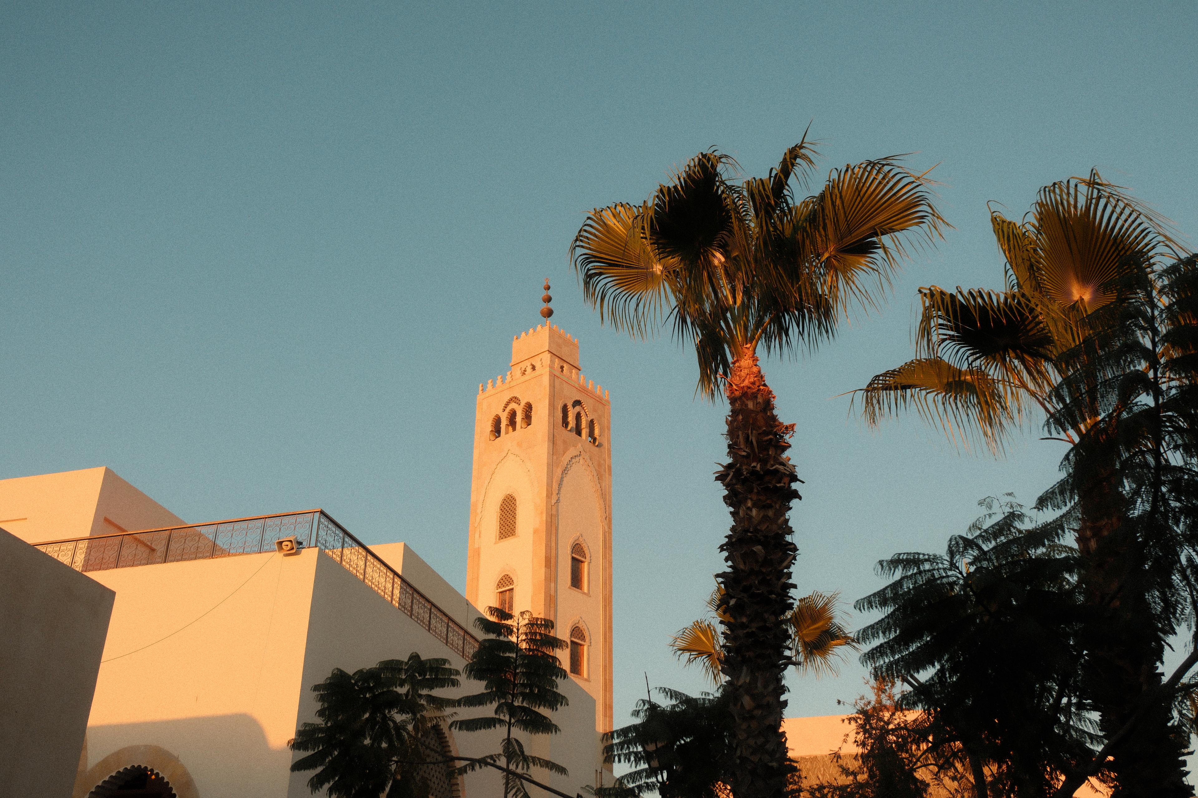Slow down at the rhythm of the mosques of Tamraght
