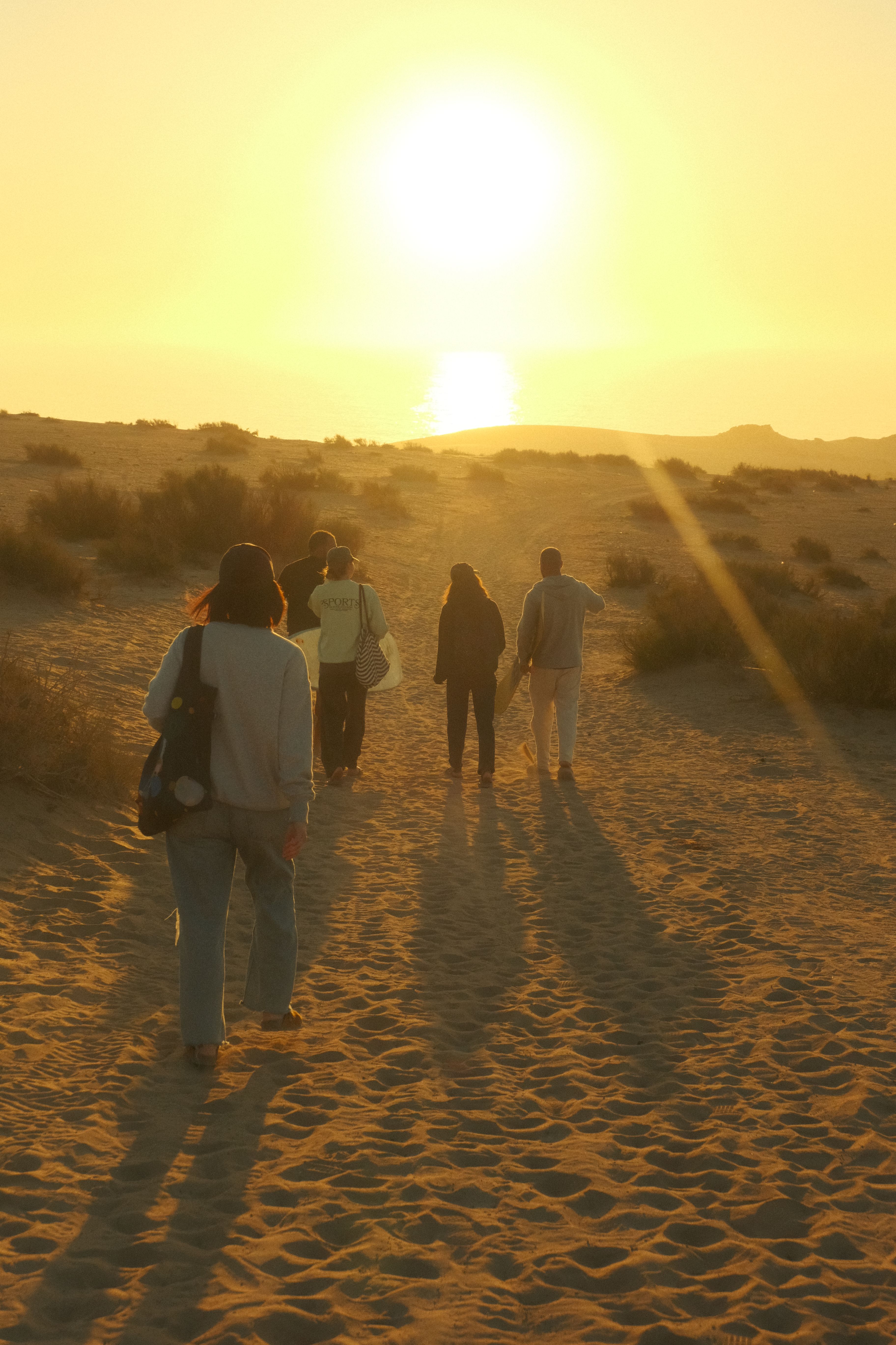 Group walking the desert dunes at golden hour, Morocco