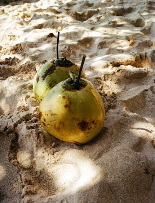 Coconuts on the beach