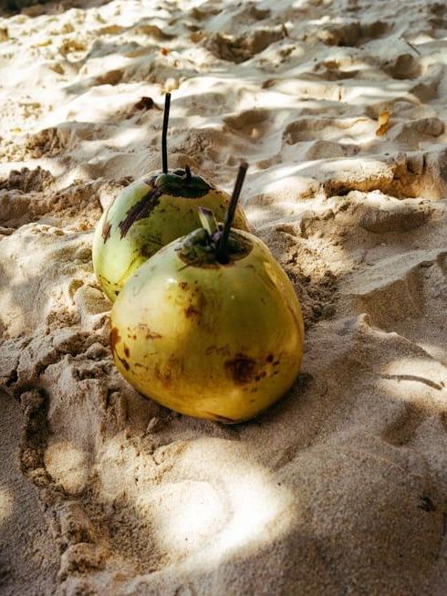Coconuts on the beach