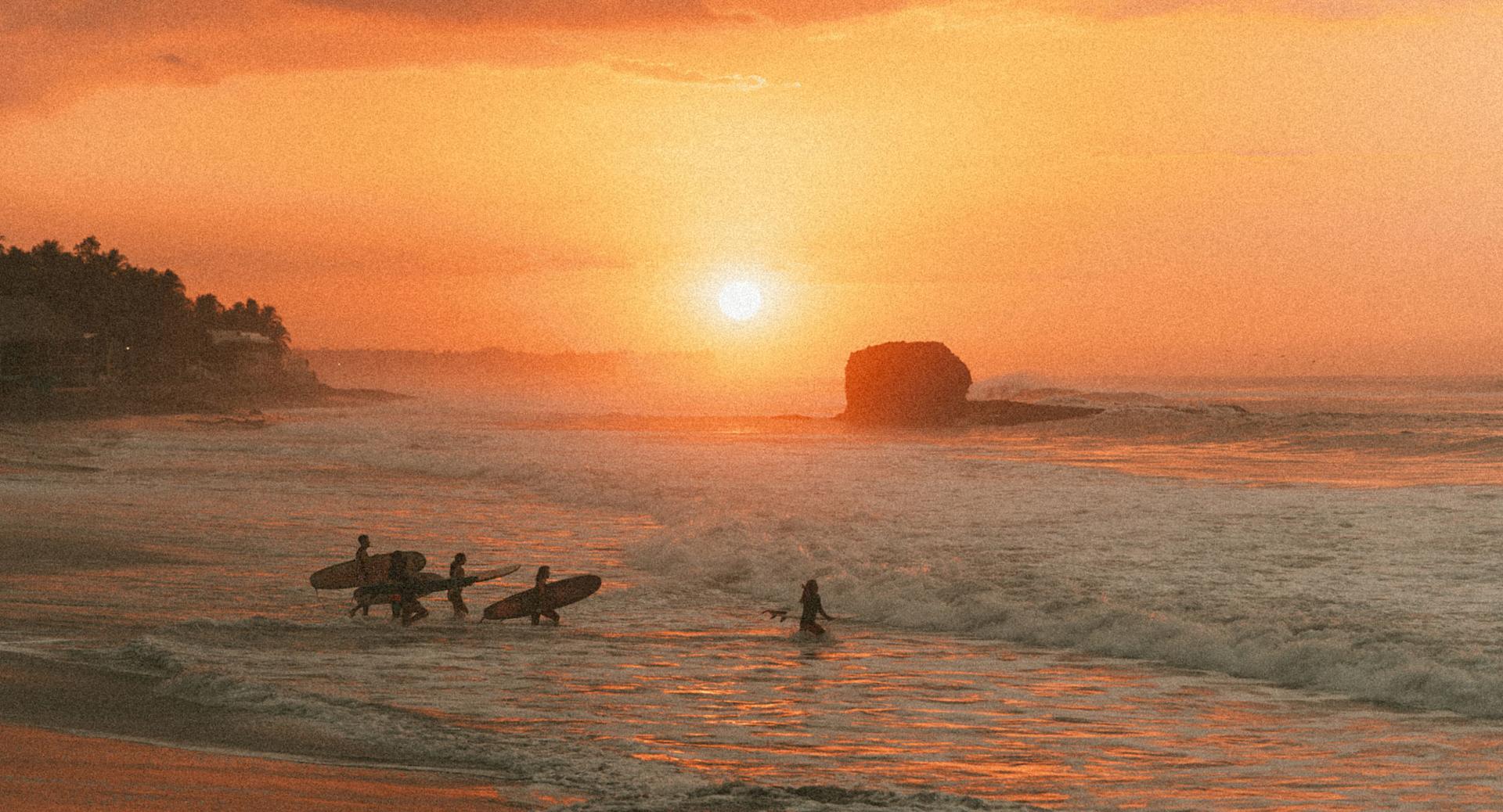 Surfers walking in the ocean at sunset