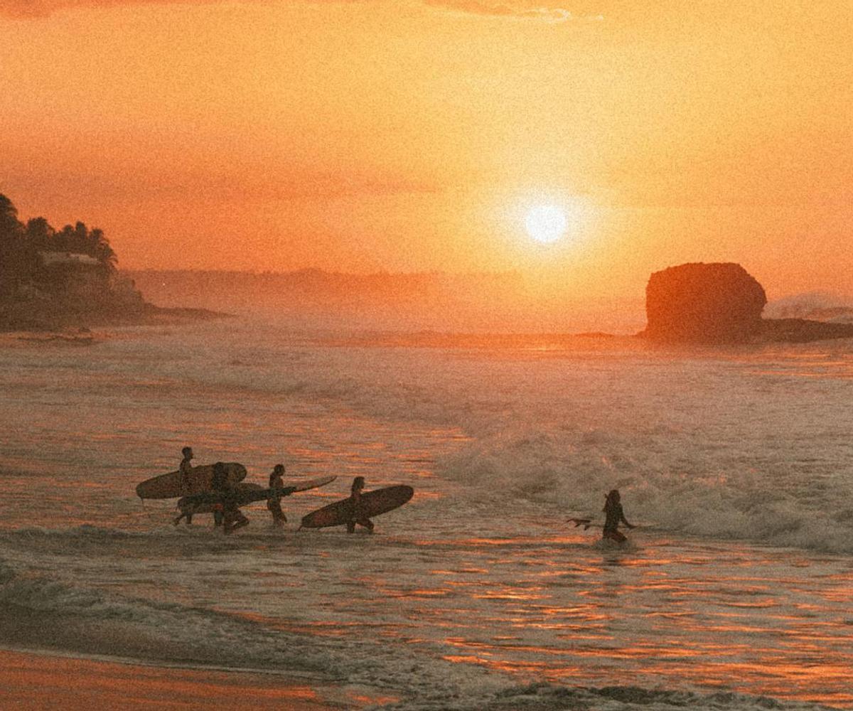 Surfers walking in the ocean at sunset