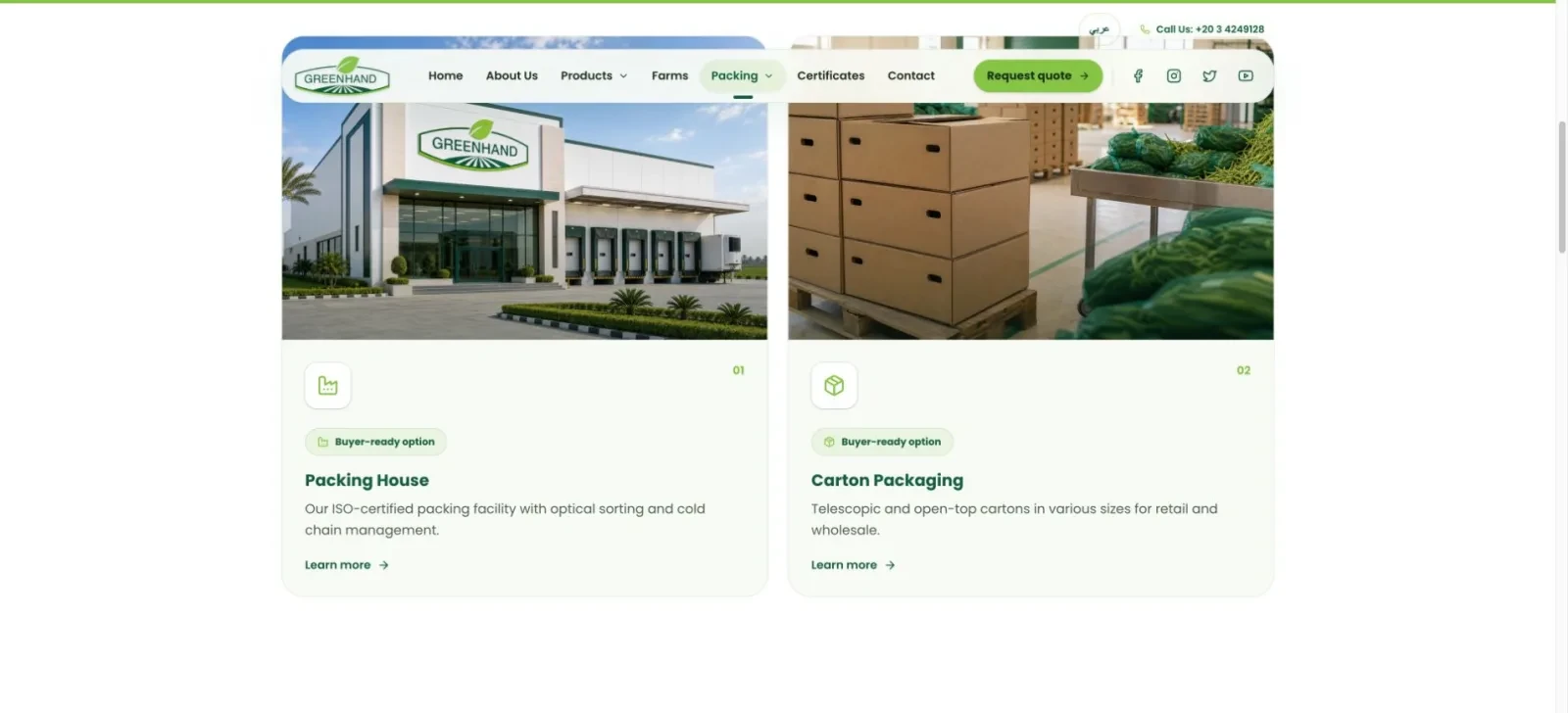 Export packing options page with carton, plastic and private-label choices