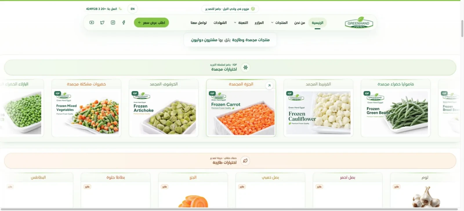 Arabic right-to-left Green Hand Egypt homepage