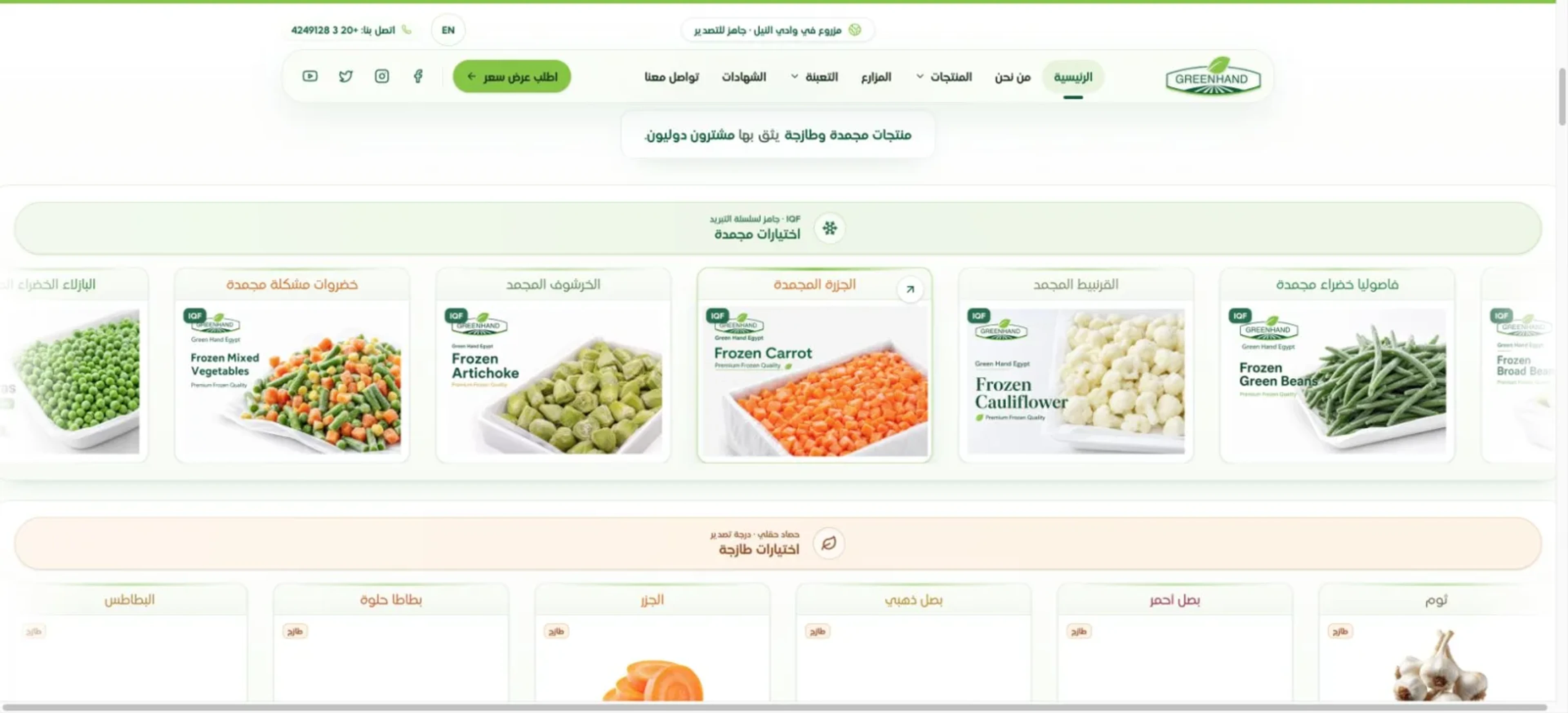 Arabic right-to-left Green Hand Egypt homepage