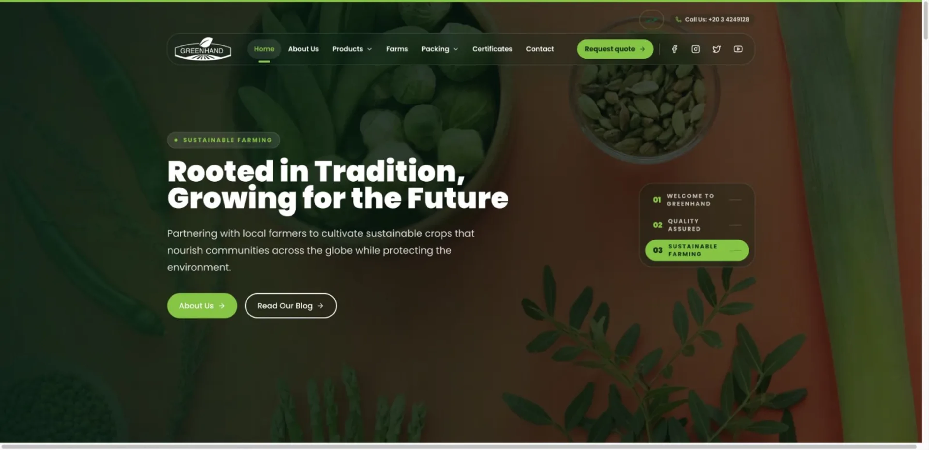 Green Hand Egypt website hero using large agricultural product photography