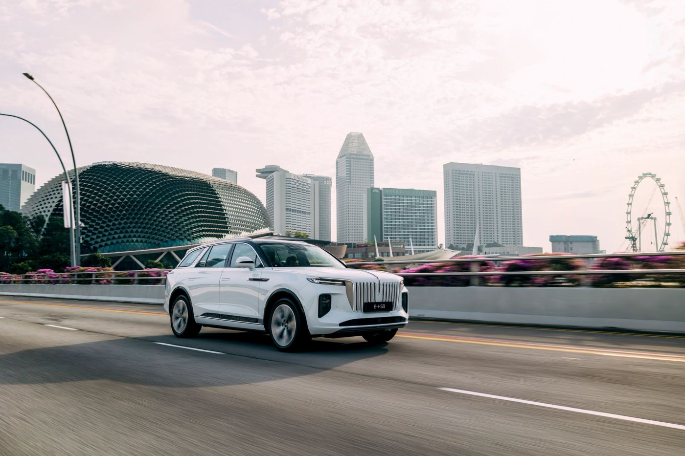 Hongqi heritage