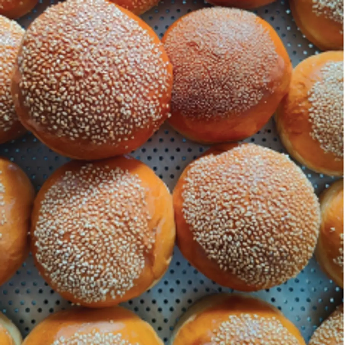 Burger Buns