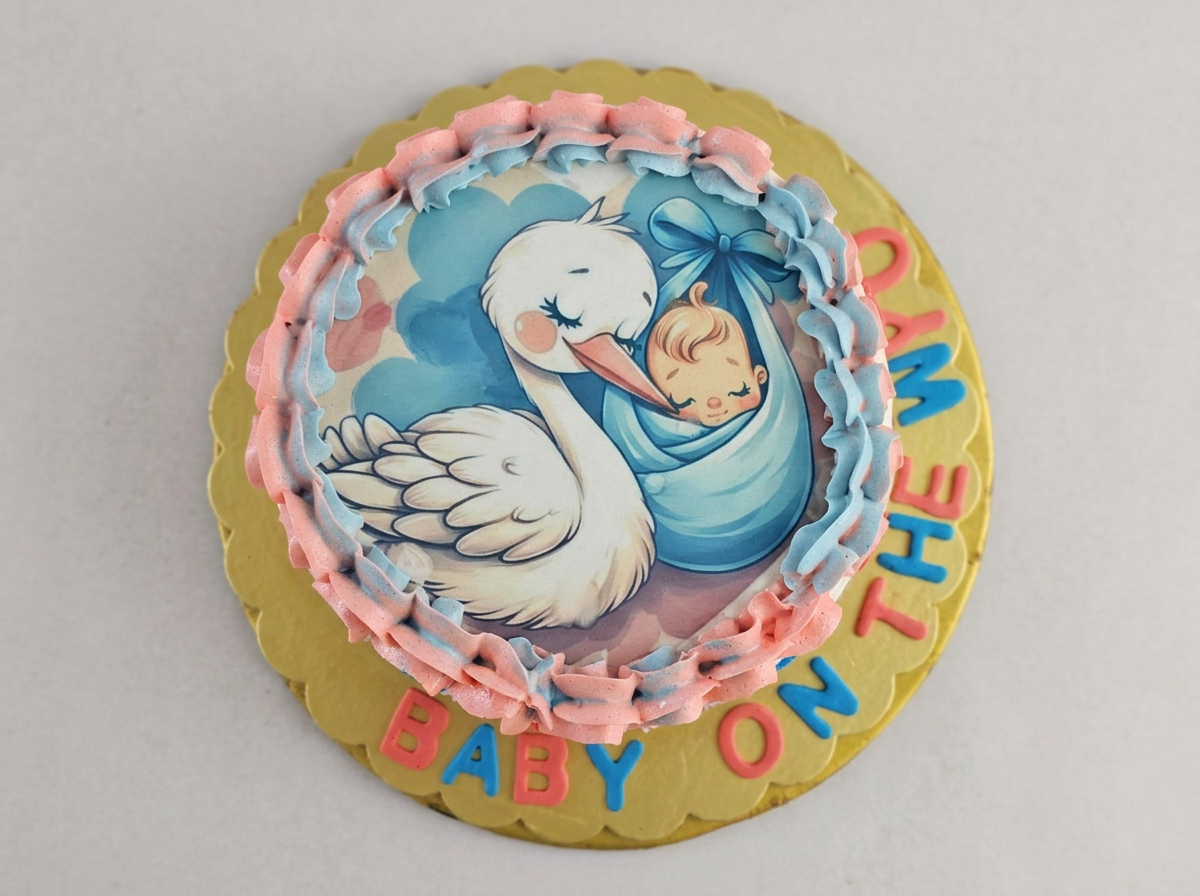 Stork 'Baby On The Way' Shower Cake — topdown view