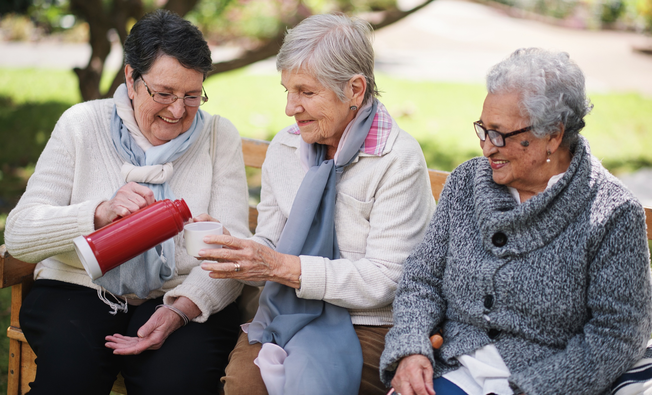Group of 65+ women spending time together