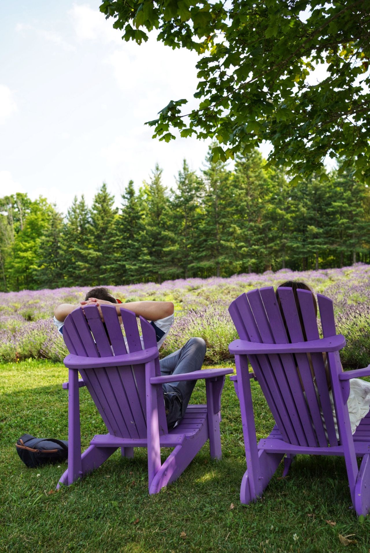 Camille & Kostiantyn at Purple Hill Lavender, photo 14.
